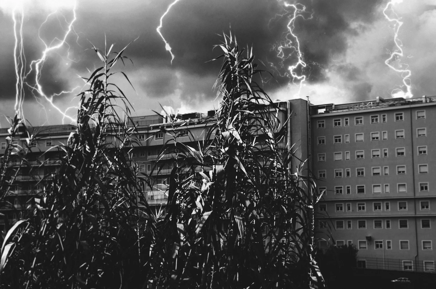 2013_10_07_.jpg