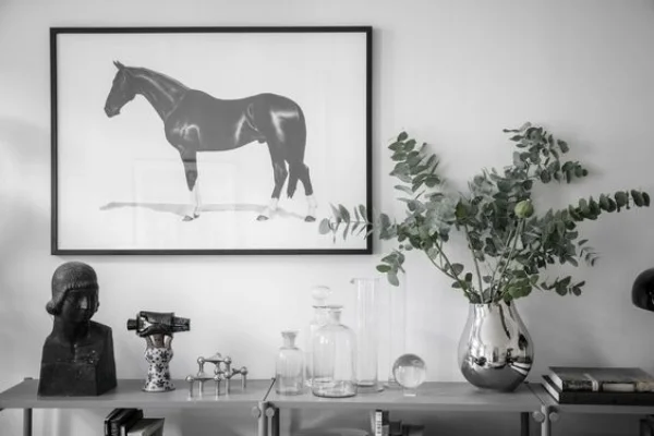 Expert Interior Design Tips to Transform Your Home