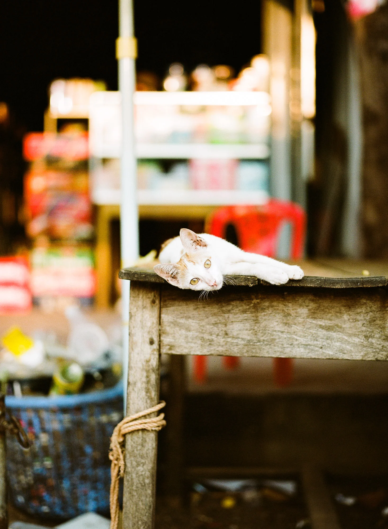 CSP Travel Photographer-6.jpg