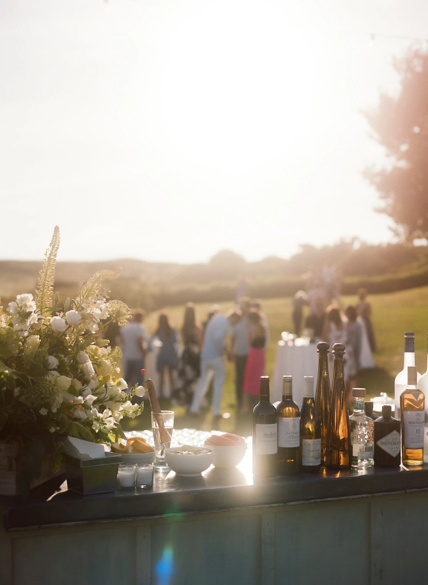 Sargologos_Aquinnah Film Wedding-1.jpg