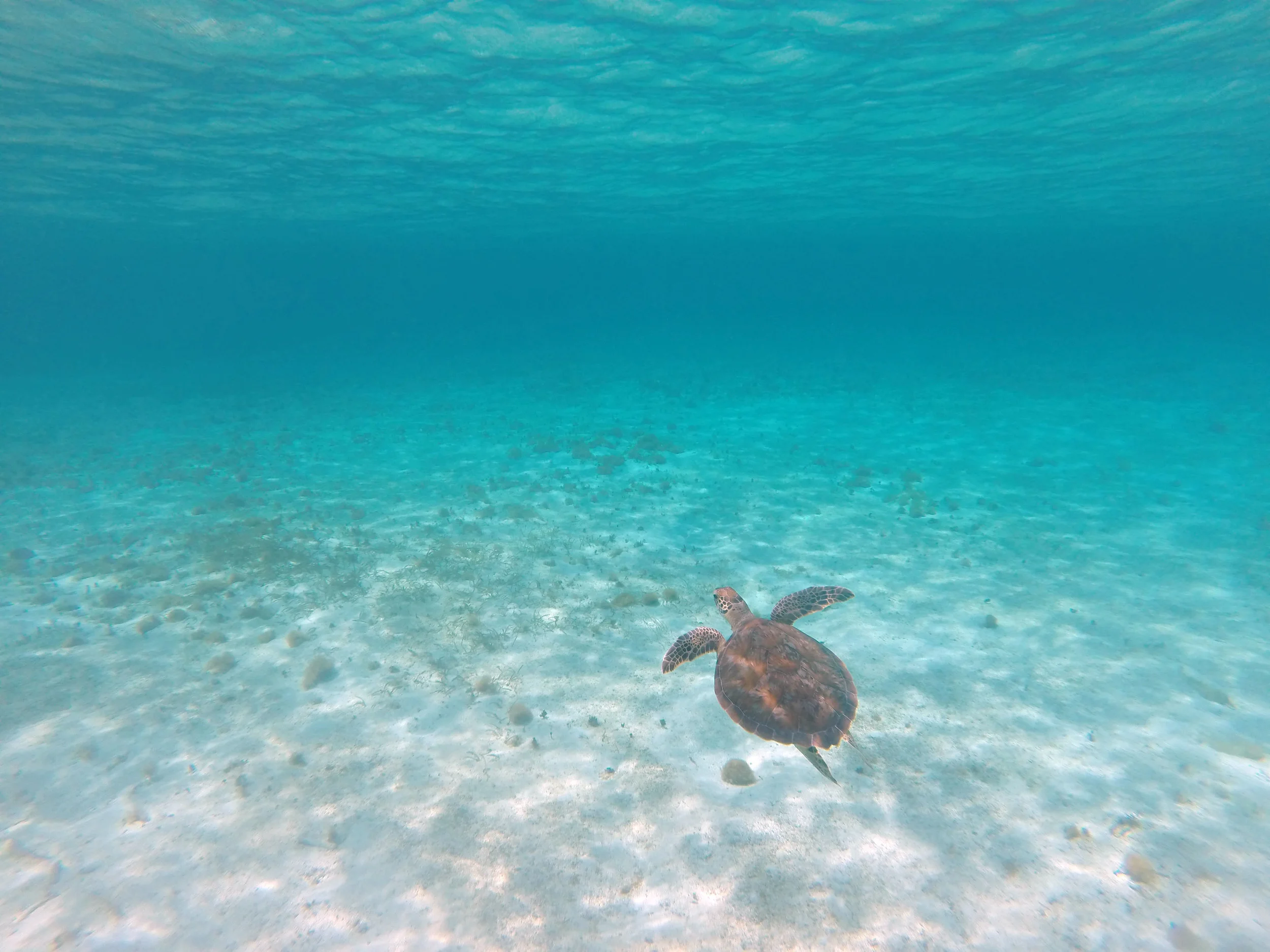 San Andrés y Providencia