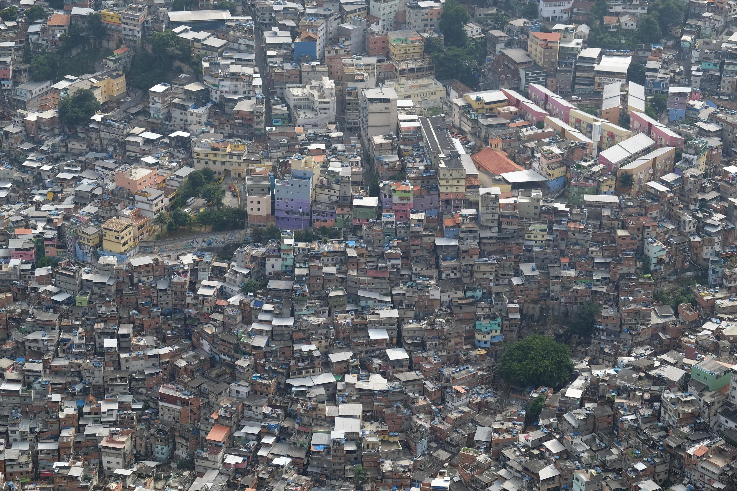 Vidigal et les deux frères