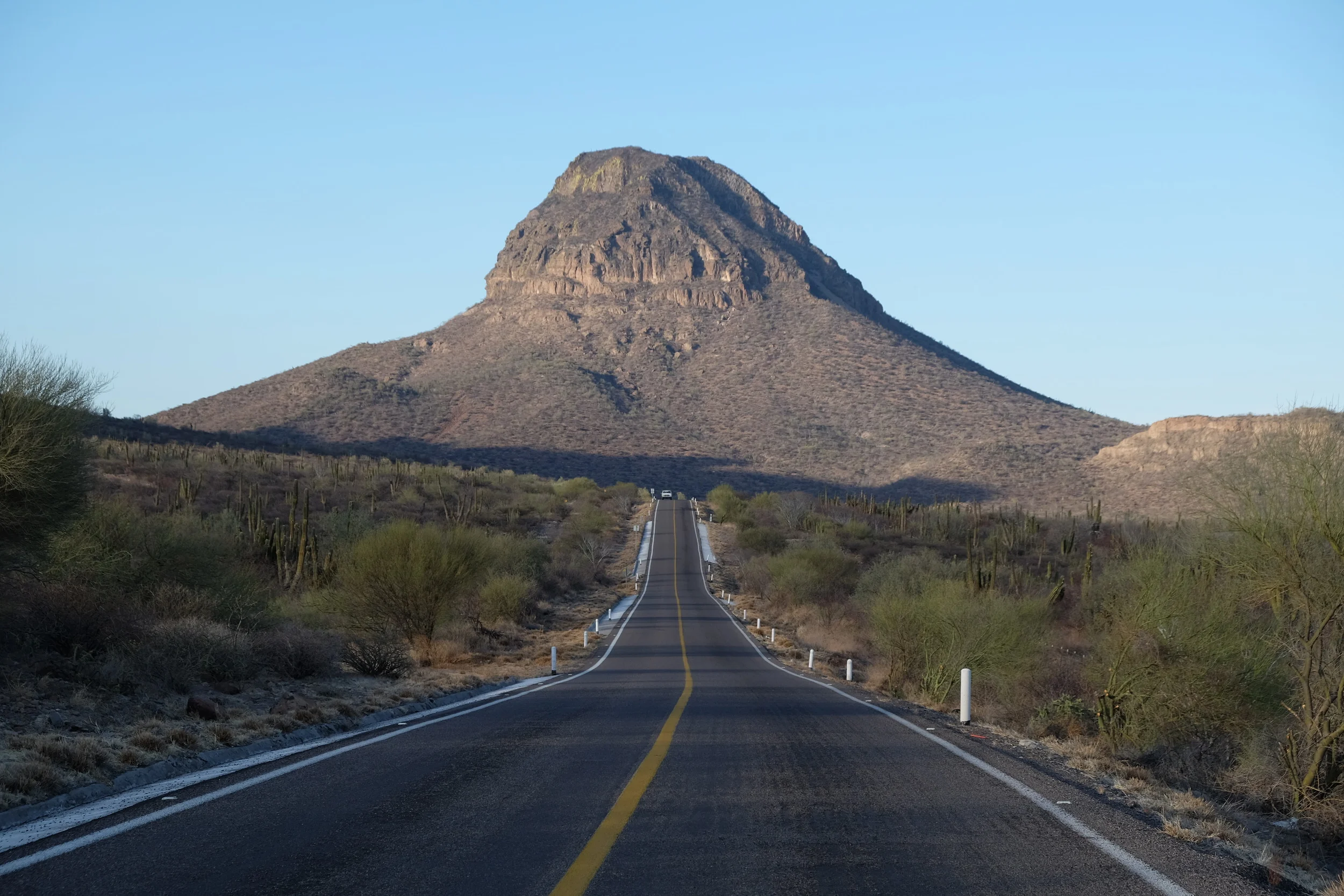 Plages, cactus et gros pick-ups
