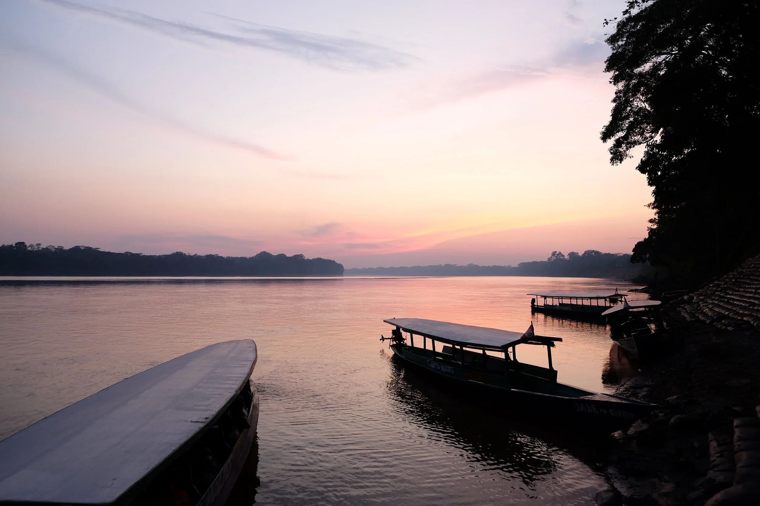 Grosse frayeur et petites bêtes