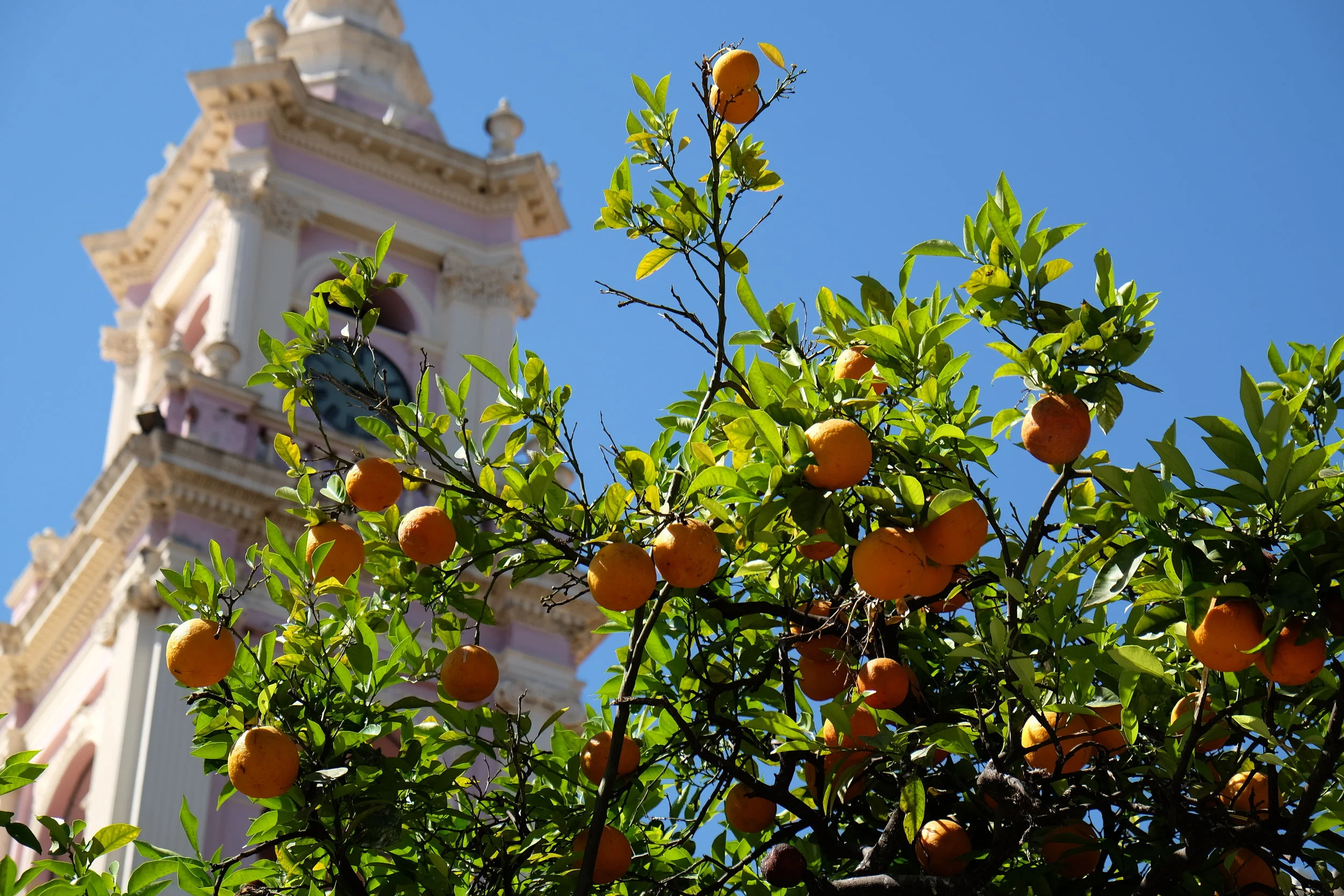 Salta et la quebrada de las Conchas