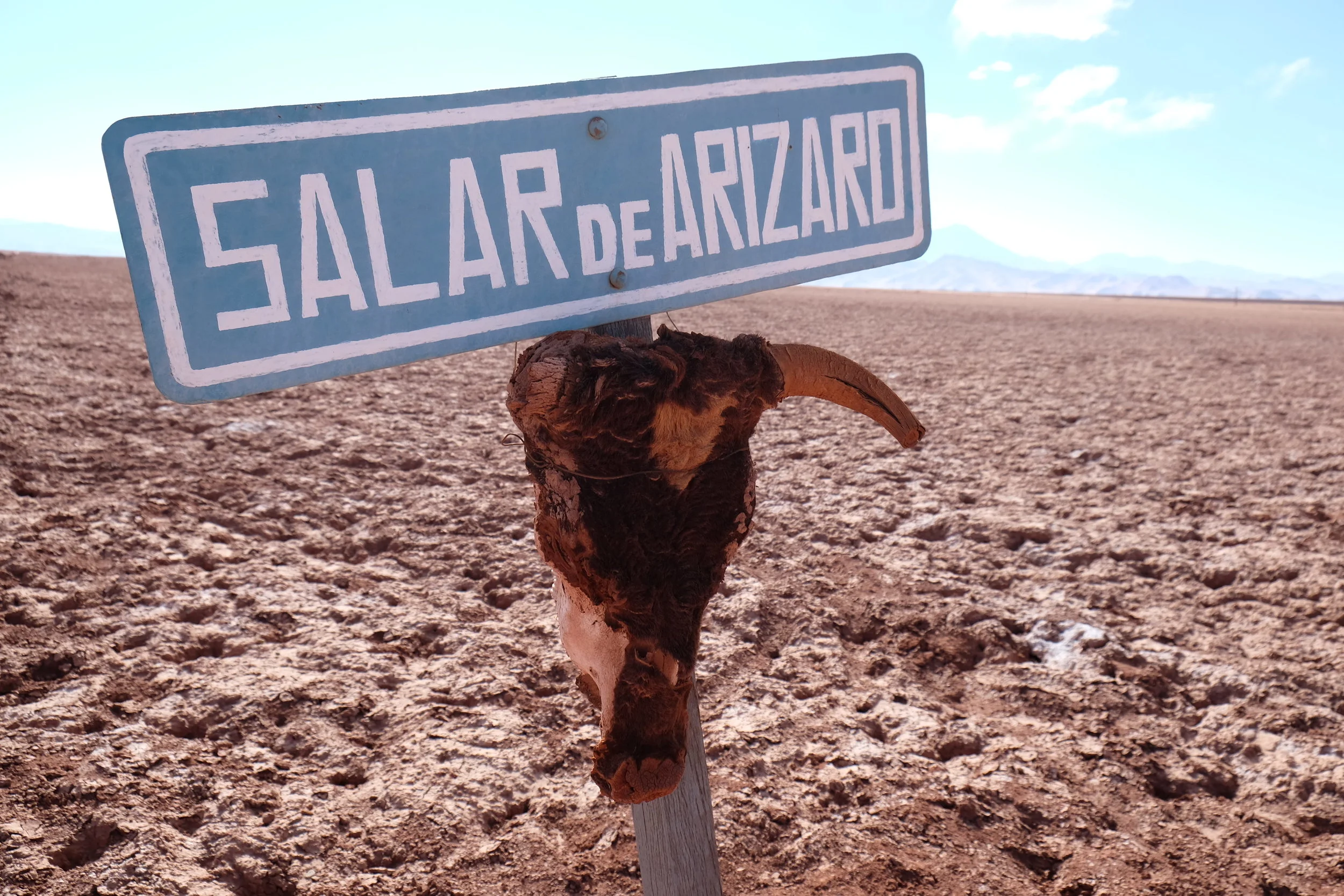 Road Trip dans le désert argentin