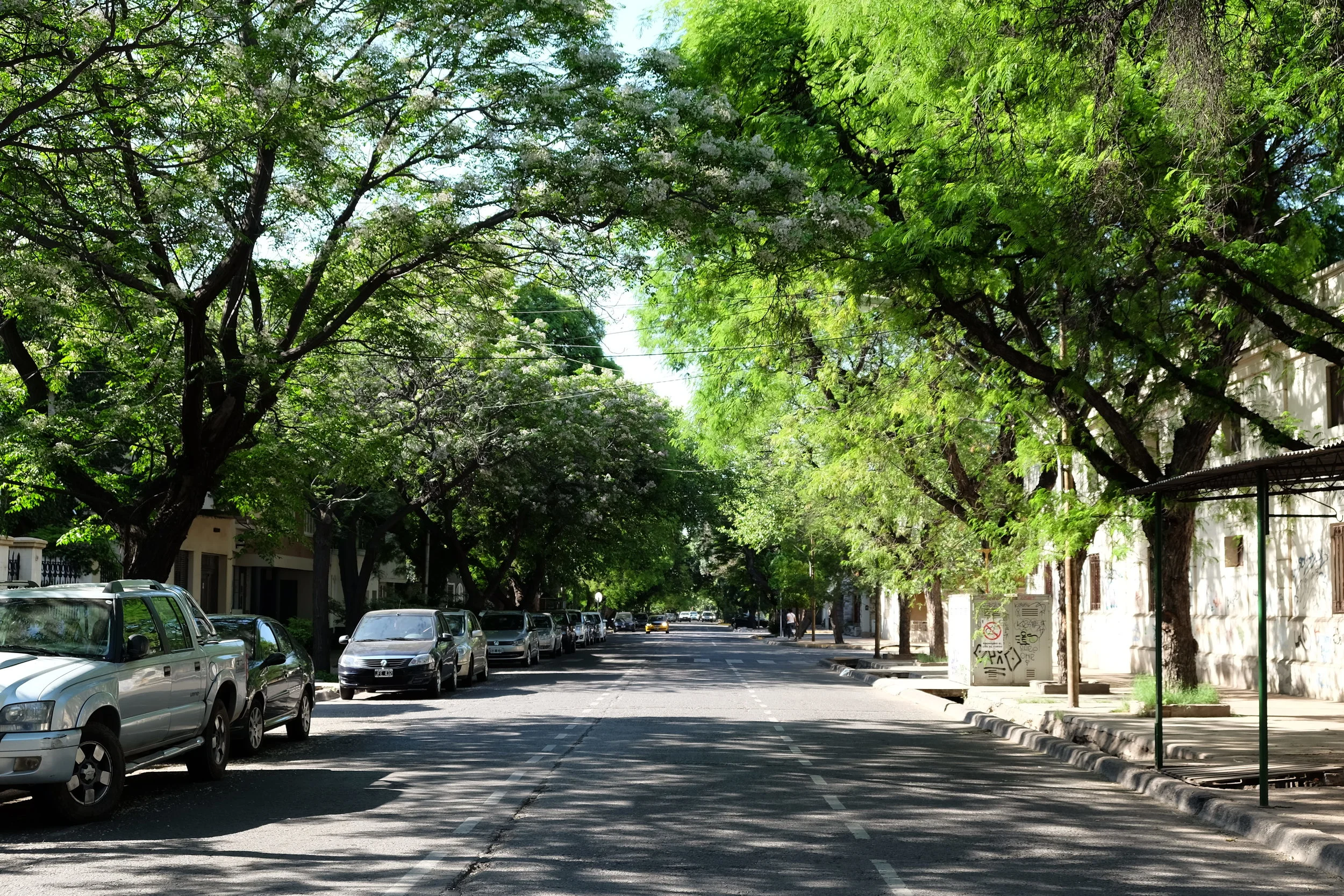 A Mendoza, ça sent le lilas