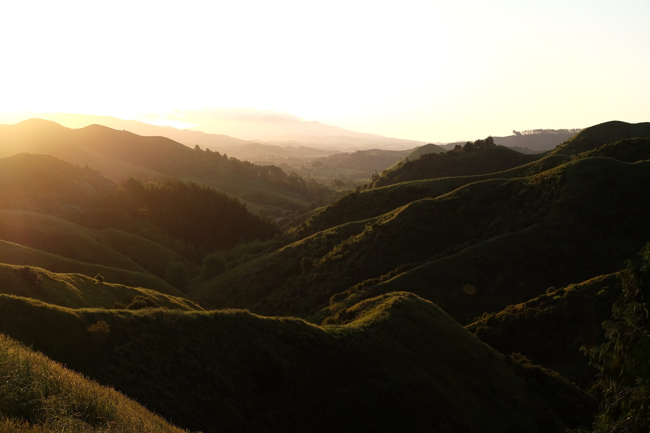 Vers la Terre du Milieu