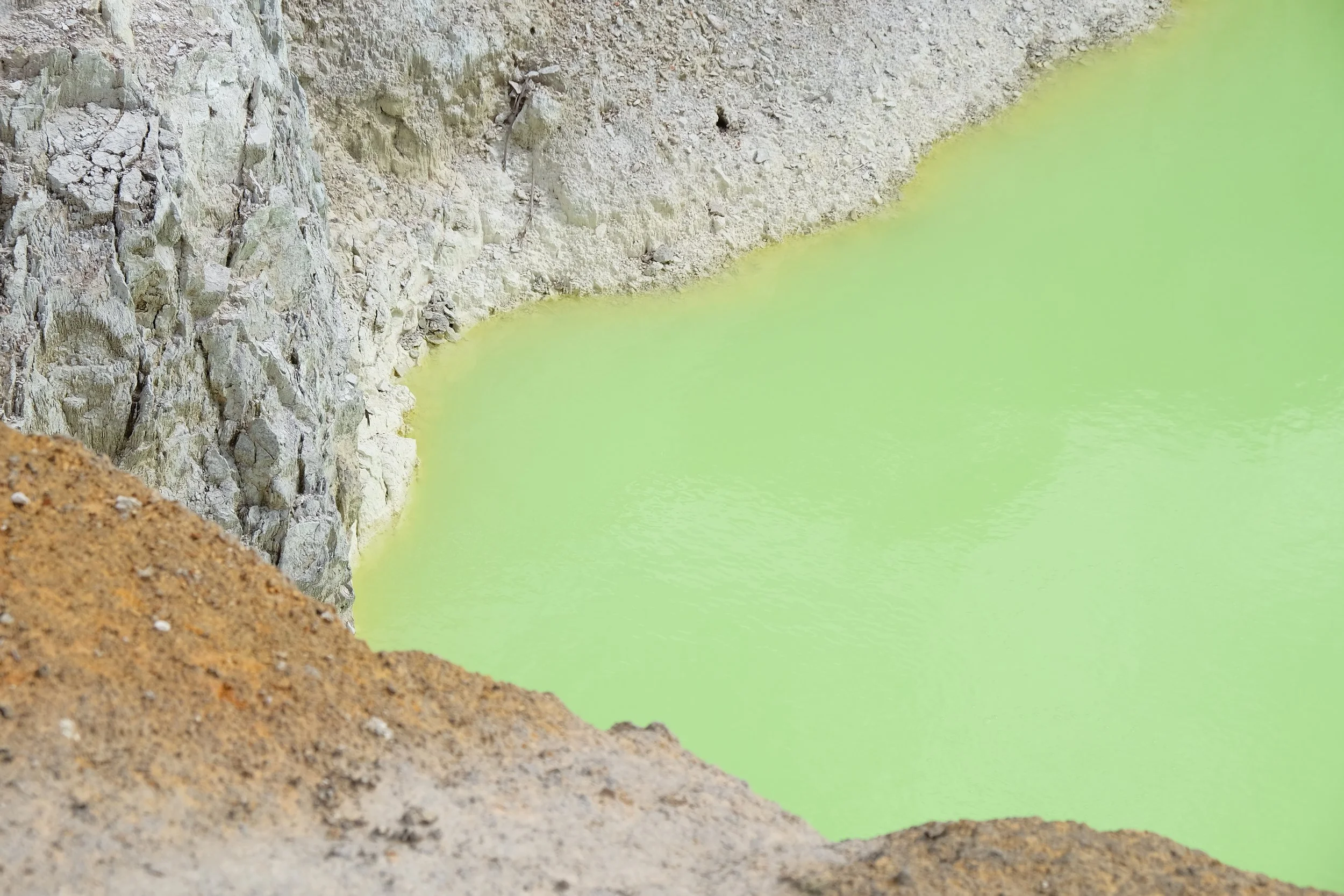 L'extravagance de la nature