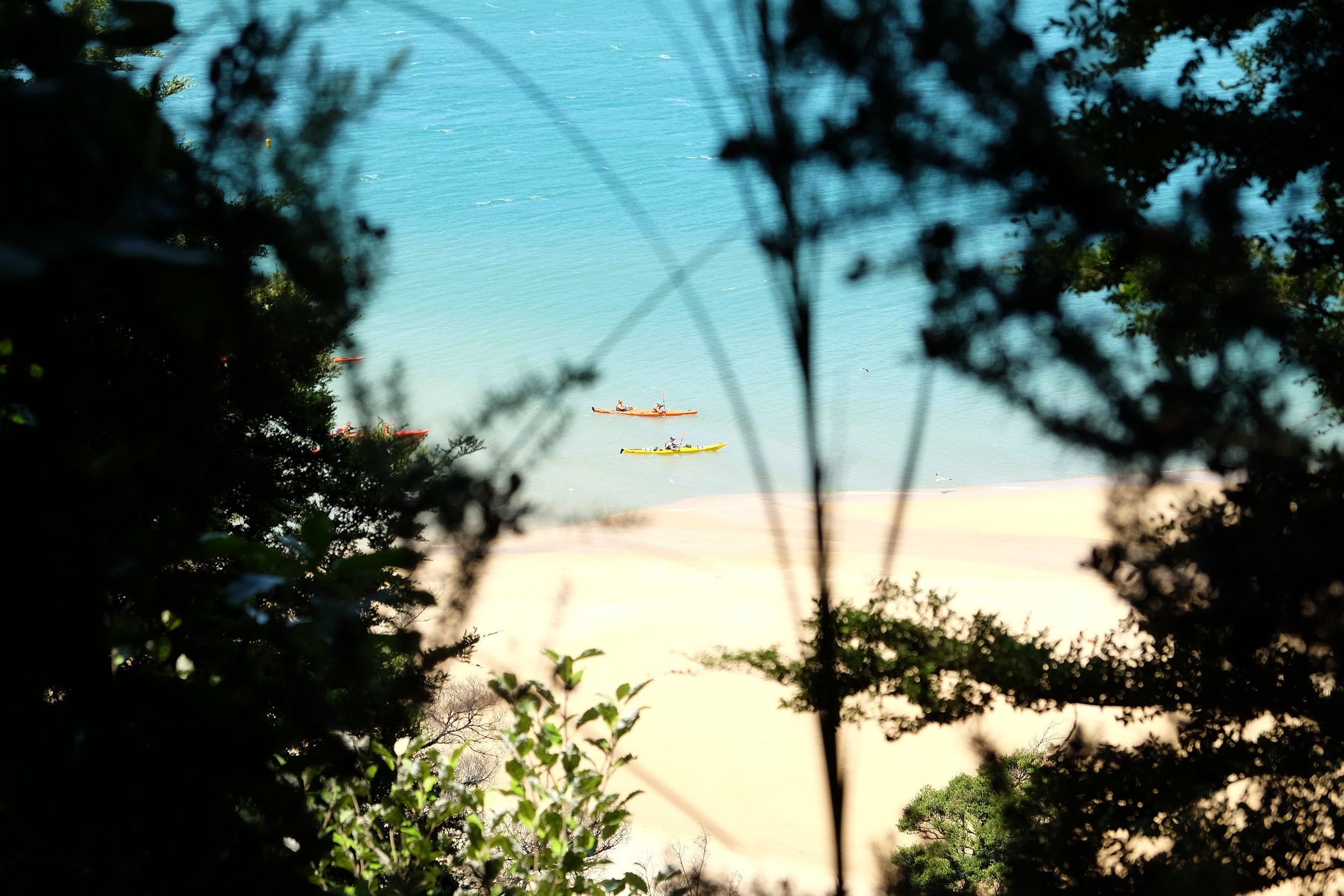 Parc national Abel Tasman