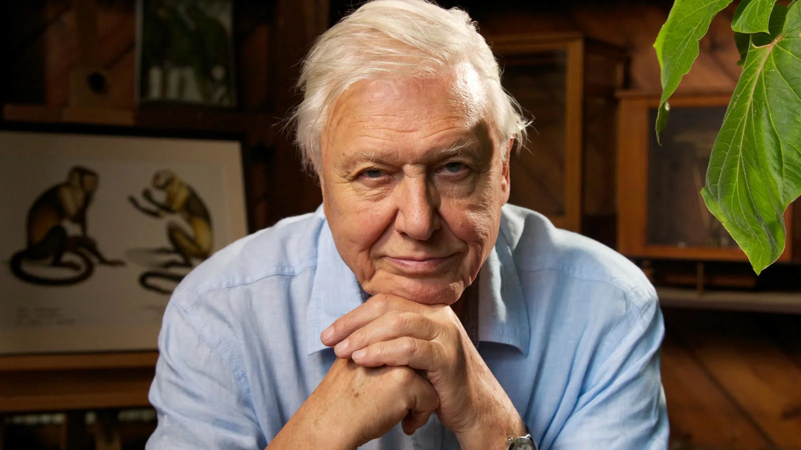 We would like to celebrate an 'accidental' World Spiritual Teacher: the naturalist, David Attenborough. The man is no less than ninety- three-years-old this year and still busy observing wildlife the planet over! His gentle approach and beautiful voice has brought almost every aspect of the natural world into our living rooms.. and into our hearts.. for so long..via the good old BBC. He is one of few to have been invited to an audience with Barack Obama. who so admired him and his perspicacity of mind. He has brought many into touch with the animal kingdom through film and documentary; he has observed the unobservable, listened to the inaudible and experienced the unknowable. A truly spiritual man, but one who would never easily describe himself as such. We need teachers like this to bring the wonders of the earth to the people of earth - forerunners in their own right - that we may see beyond our own limitations (Kryon channel from Crete) and embrace that our own 'universe' is rather bigger than we think! Sir David, we honour you.. See the Obama interview .. https://youtu.be/NZtJ2ZGyvBI )