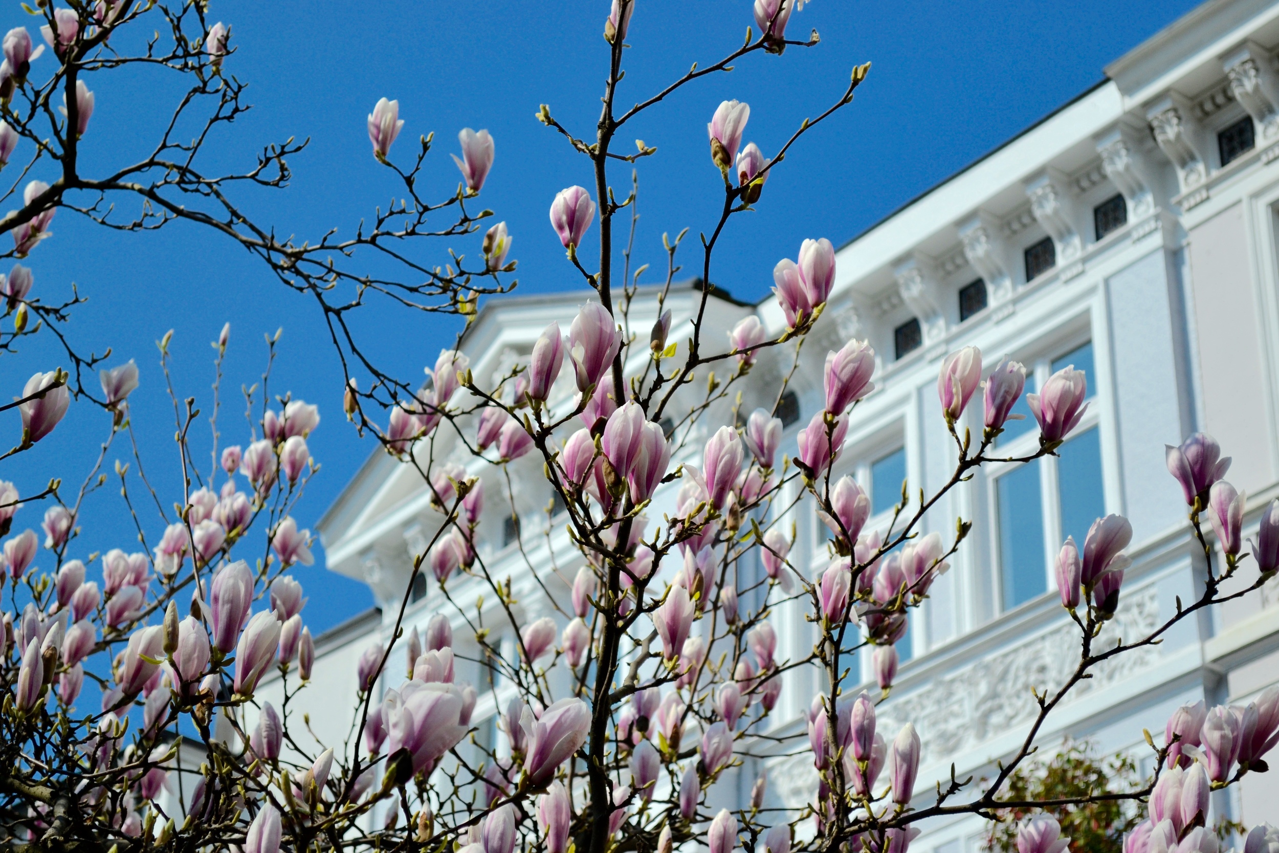 Warm Weather Activities In Hamburg Victoria Moon