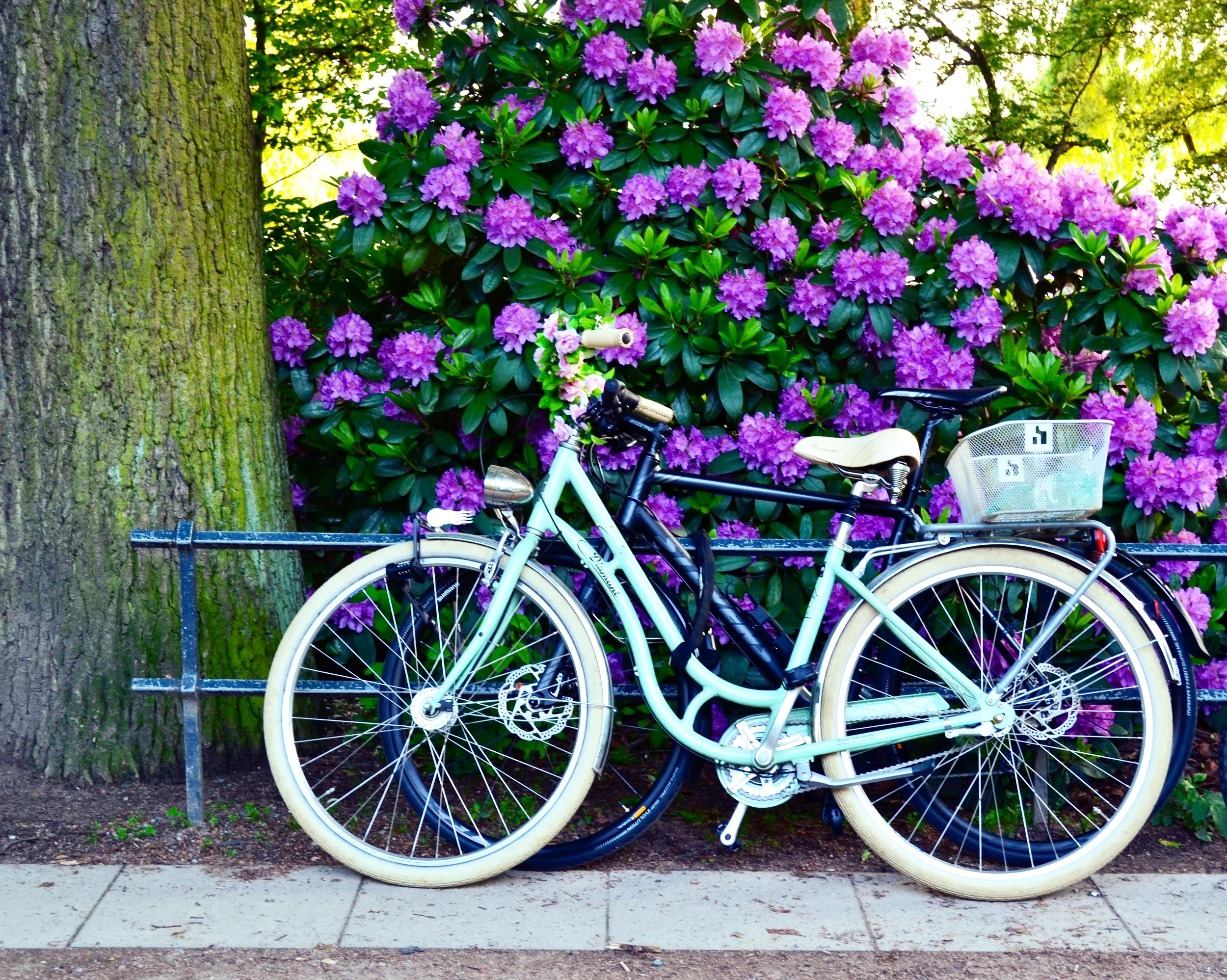 Warm Weather Activities in Hamburg