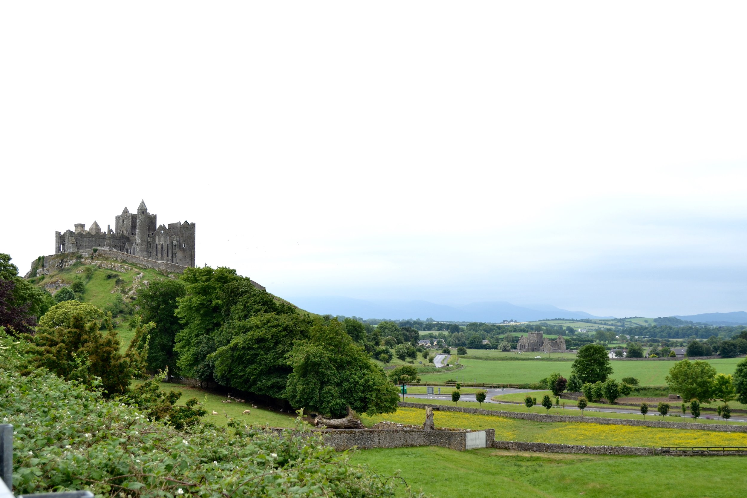 DSC_0166.jpg