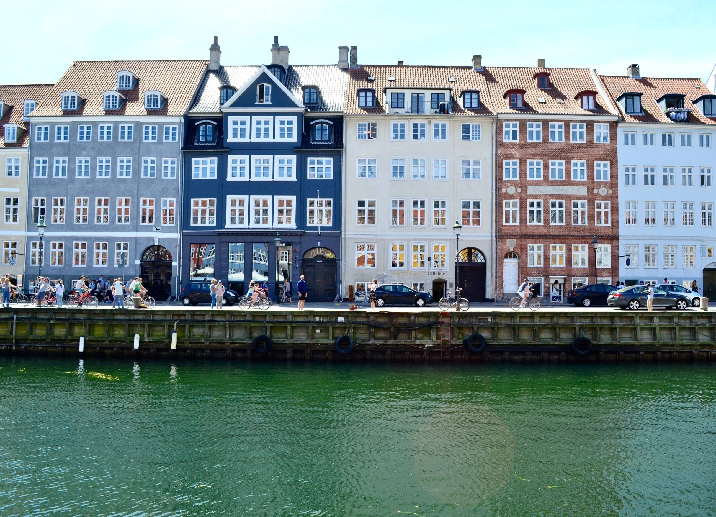 DSC_0088.jpg