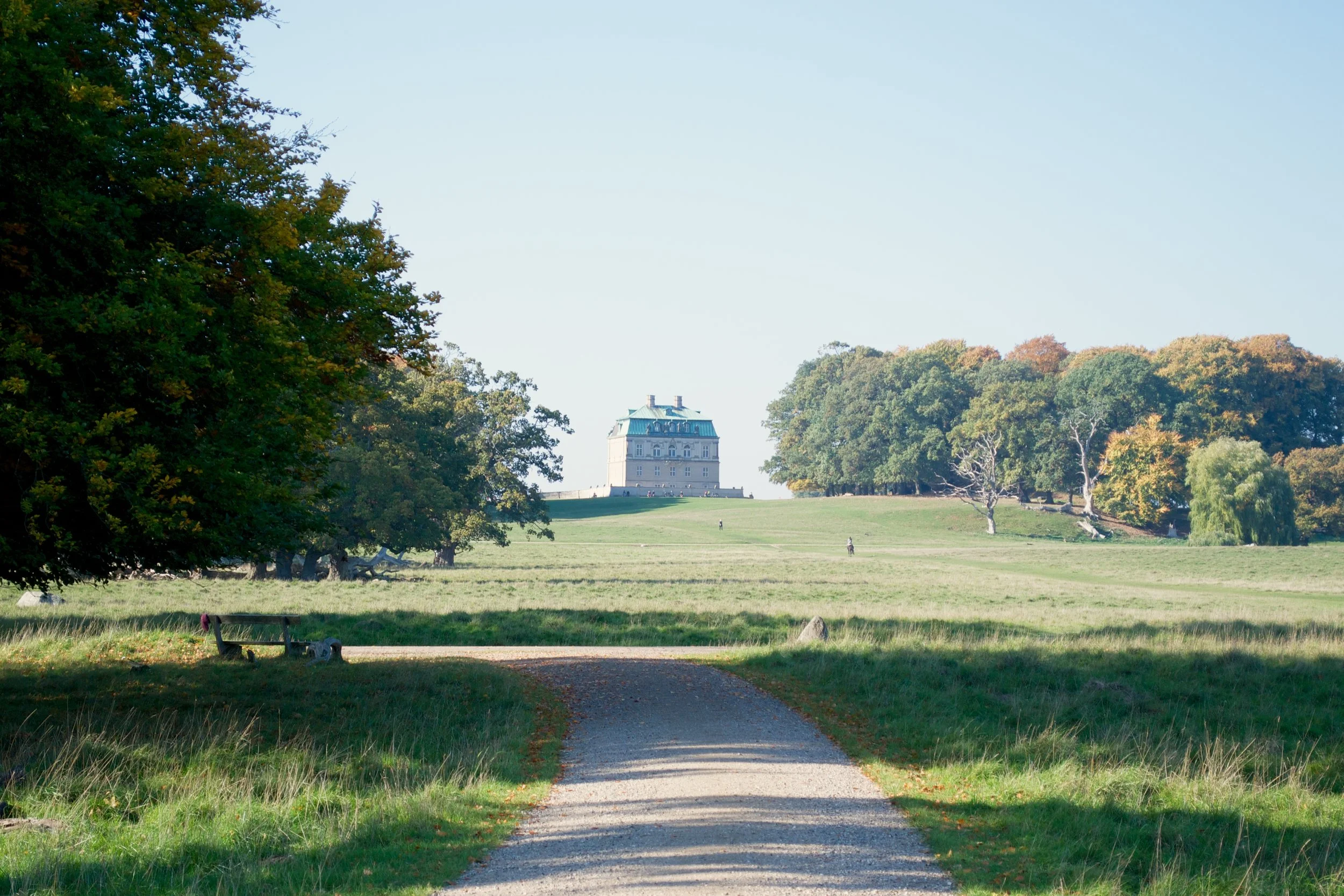 5 Places to Visit in Copenhagen During The Fall