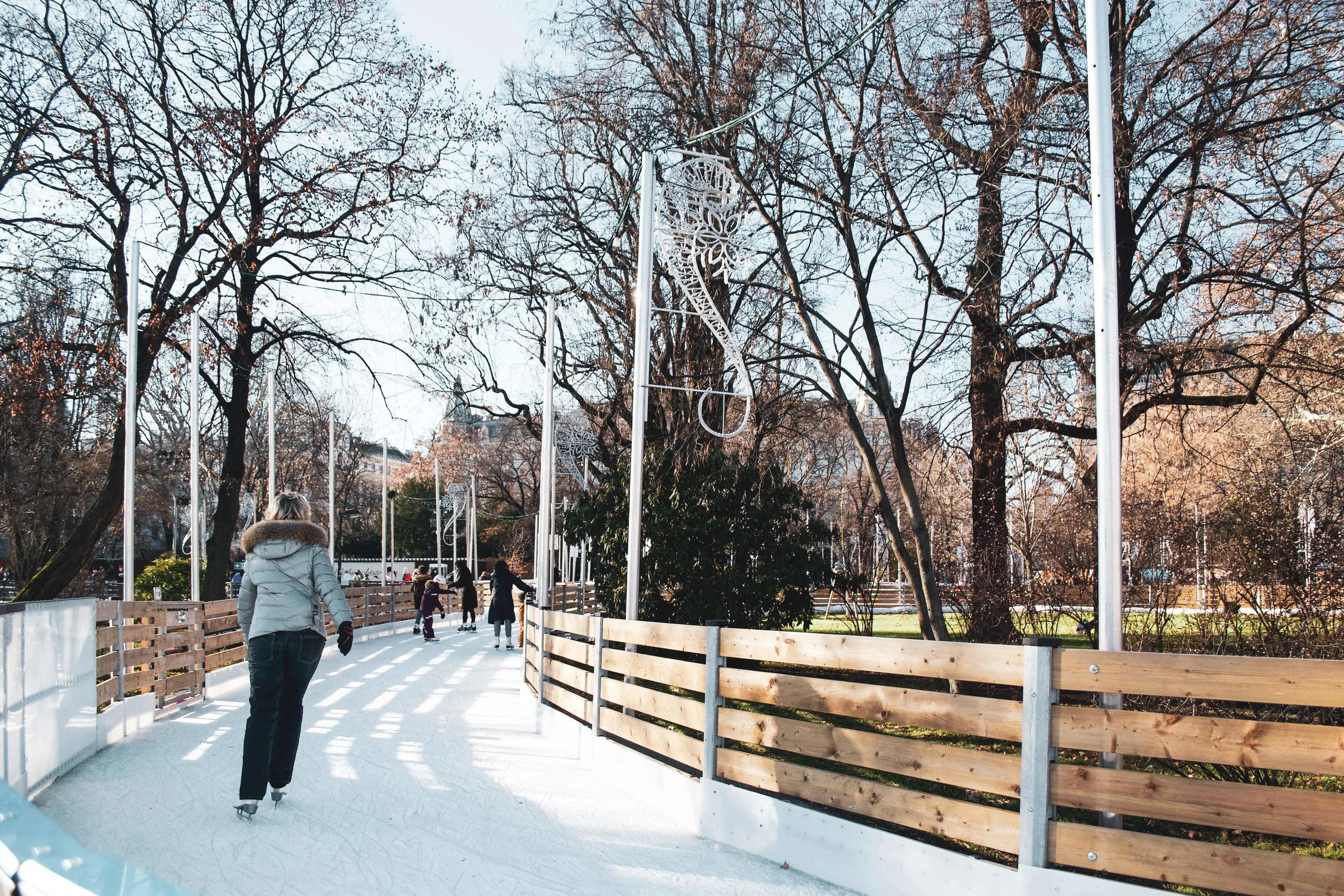 ViennaAustria_iceskating.jpg