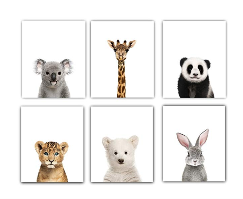 Baby Animals Nursery Wall Decor 