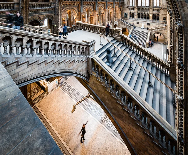 Dippy heads out of the NHM to start a national tour. Image: Barney Moss, CC-BY-2.0, Flickr