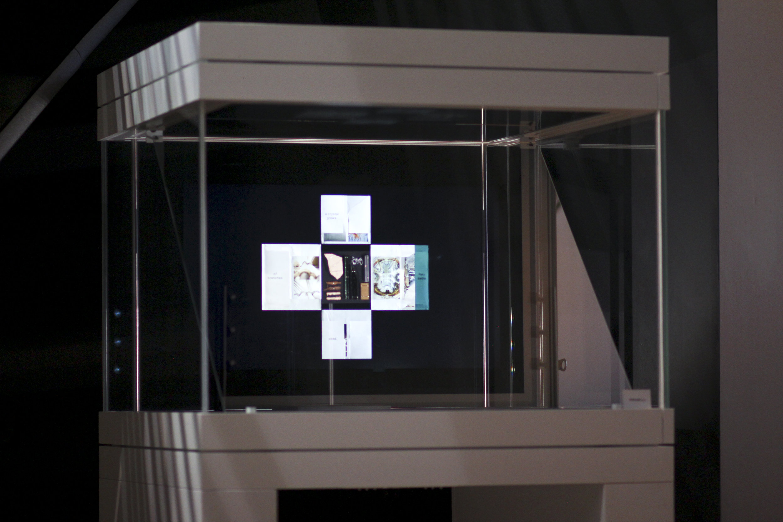 Fold 1_processed.jpg