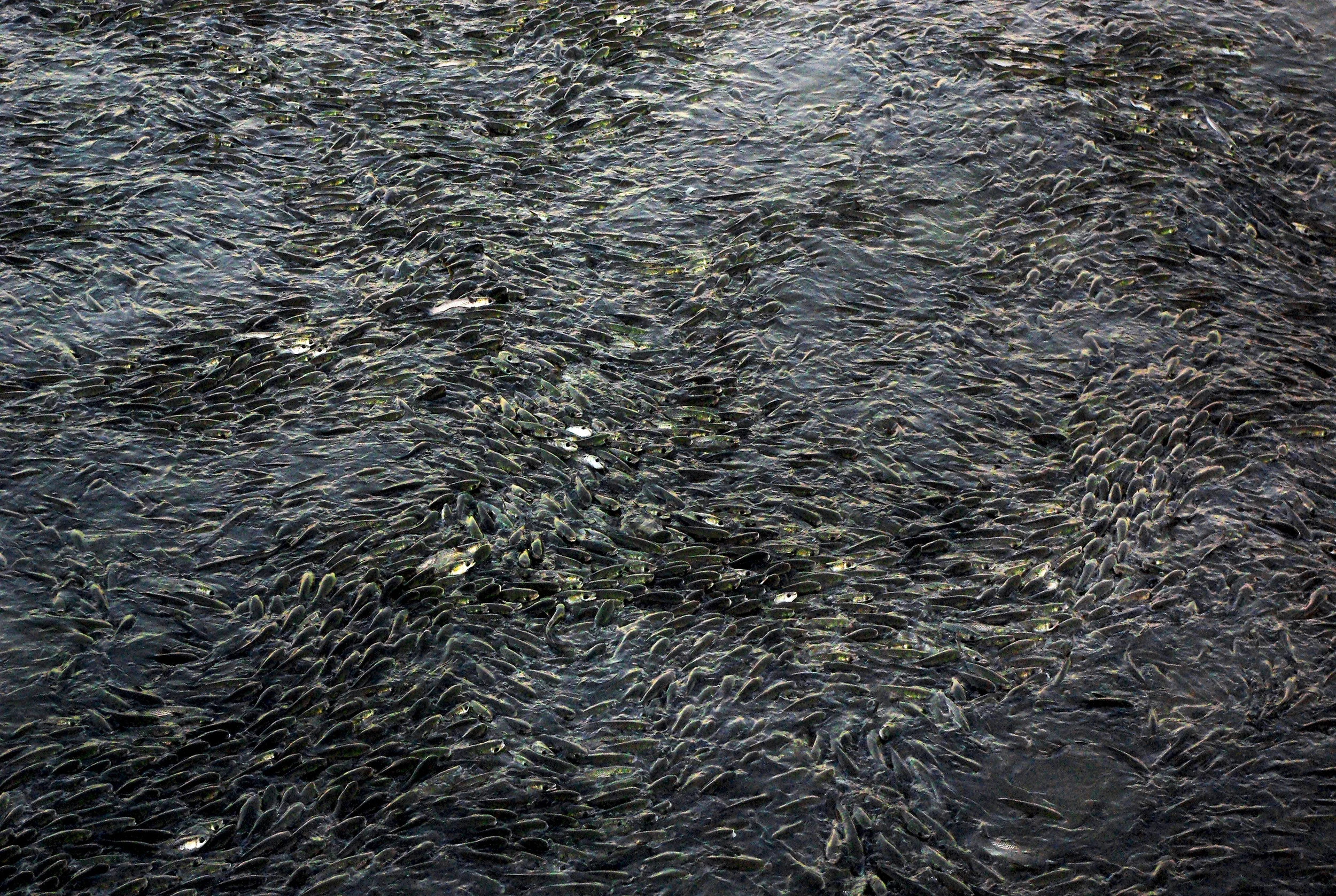    Lisbonne    2011  Photographie 130 × 90 cm  © tous droits réservés - JPRV 