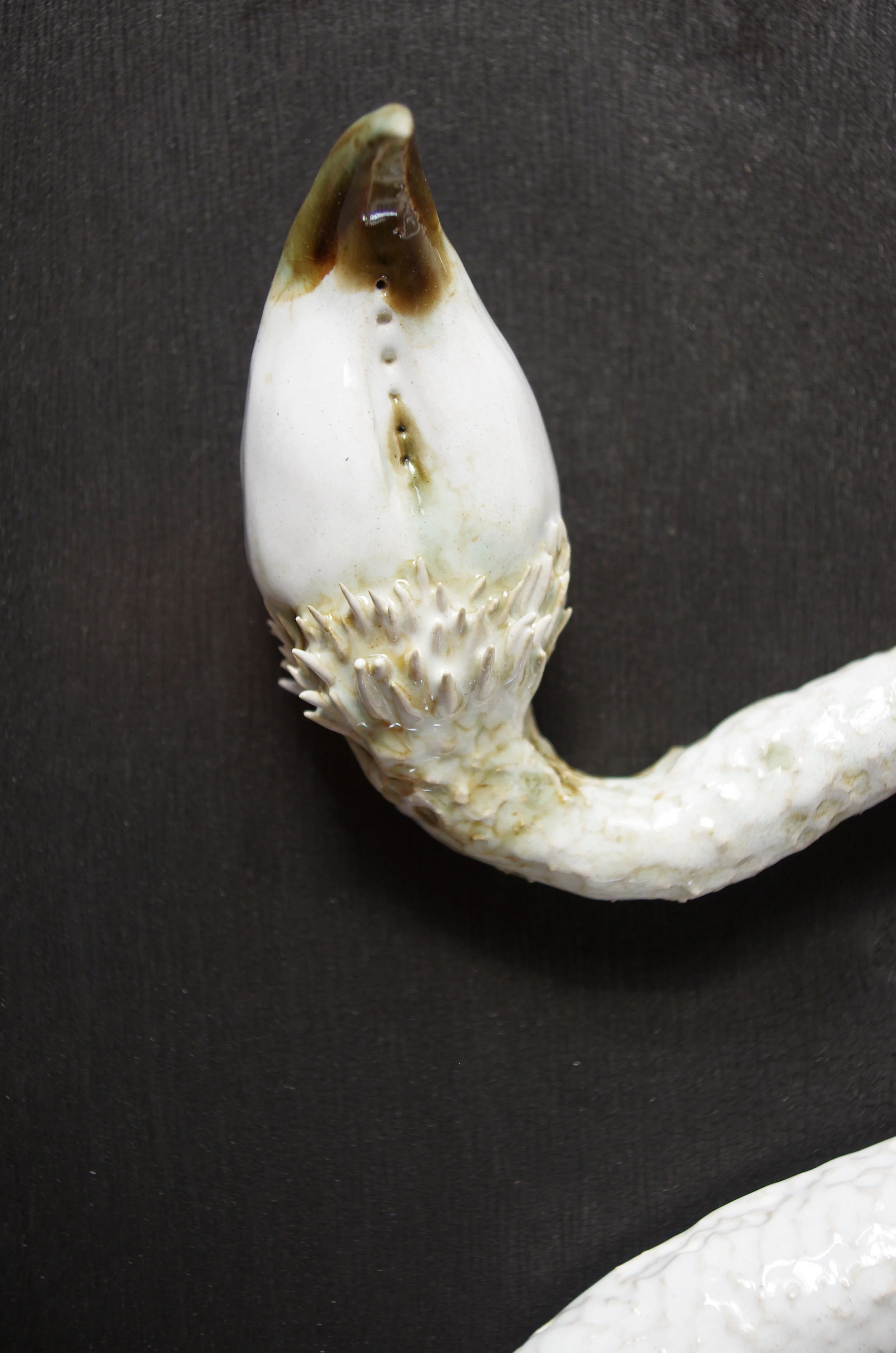  © tous droits réservés - JPRV 