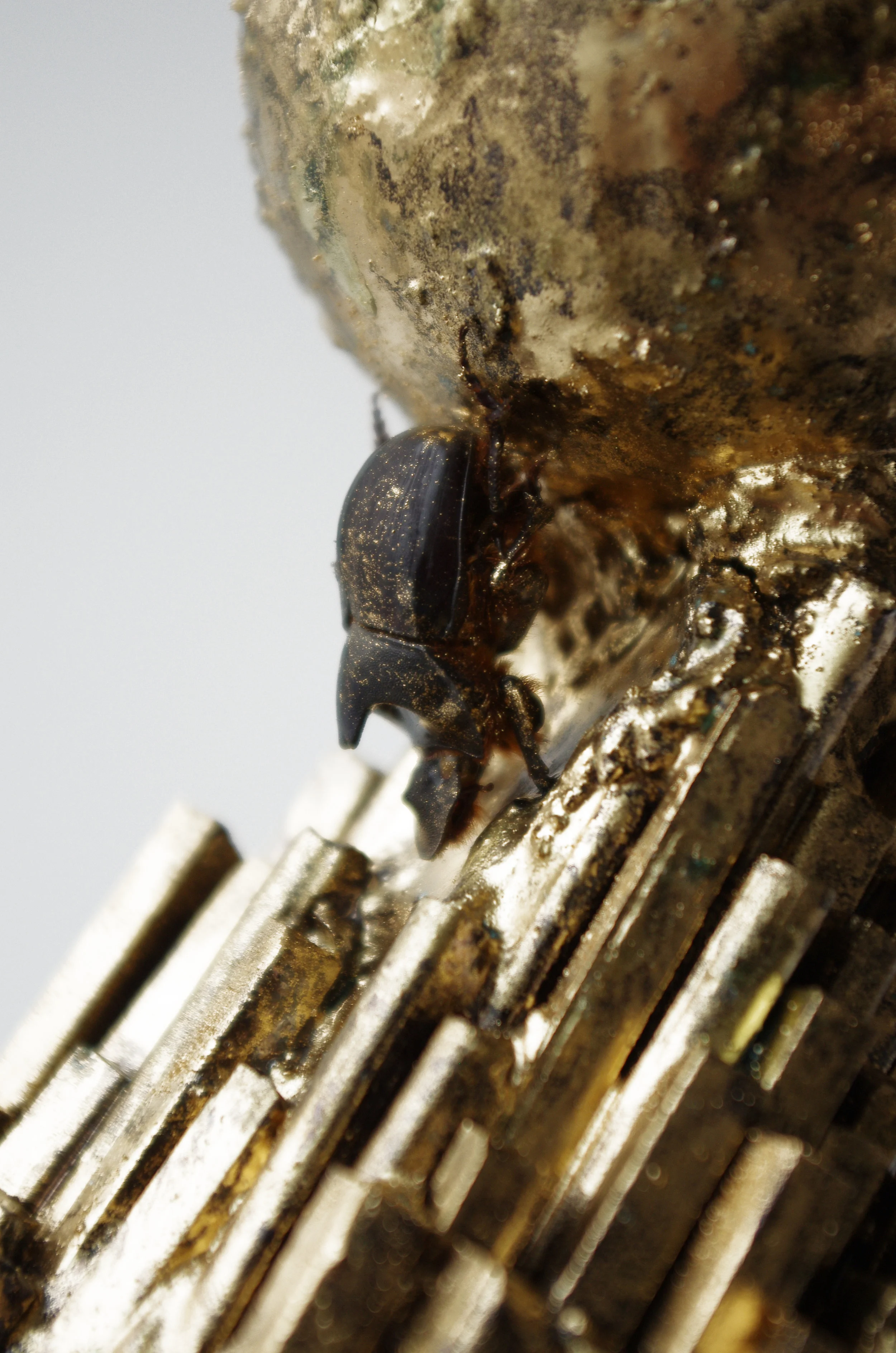  © tous droits réservés - JPRV 