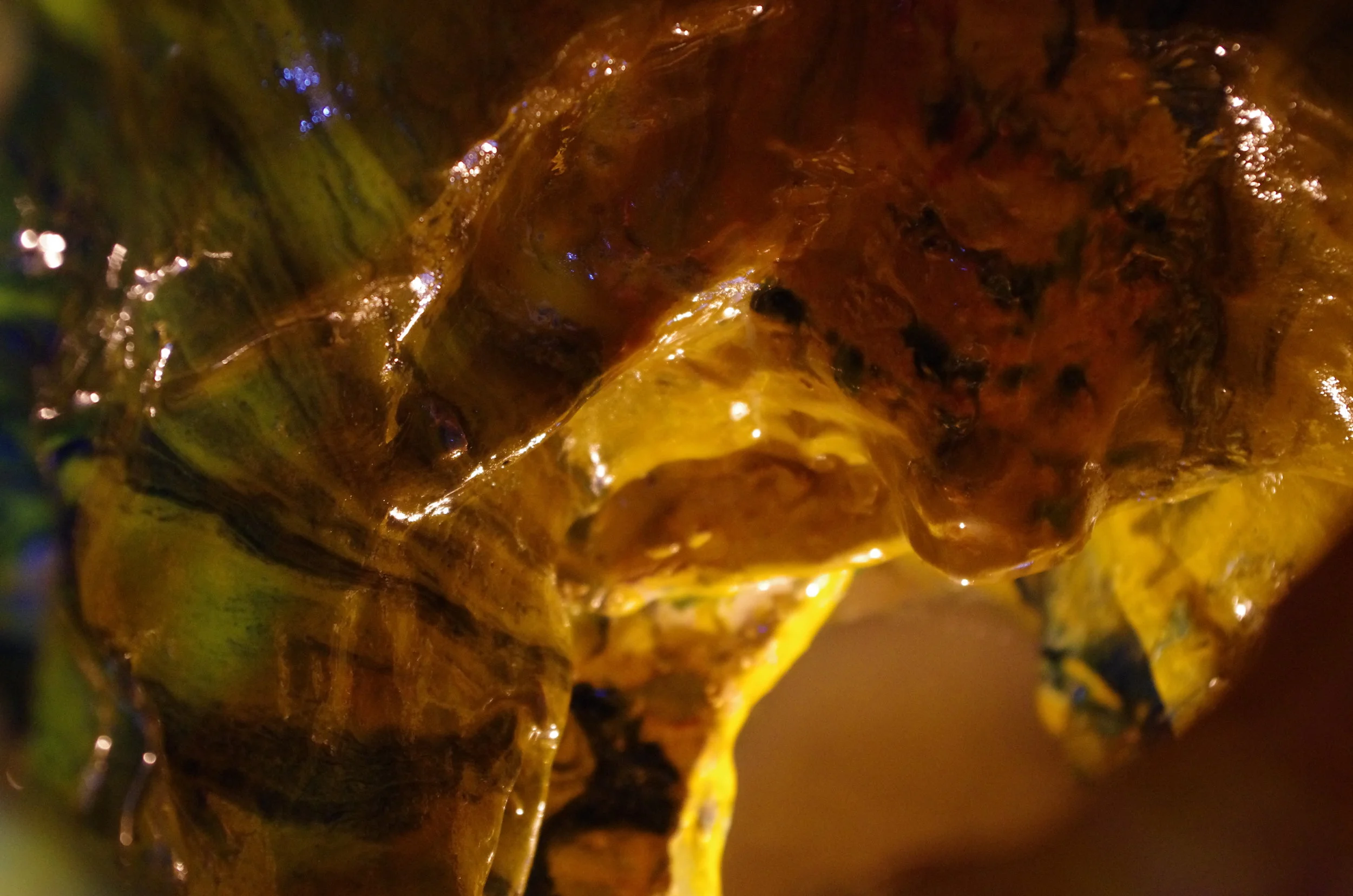  détail de   Speos, le boyau   