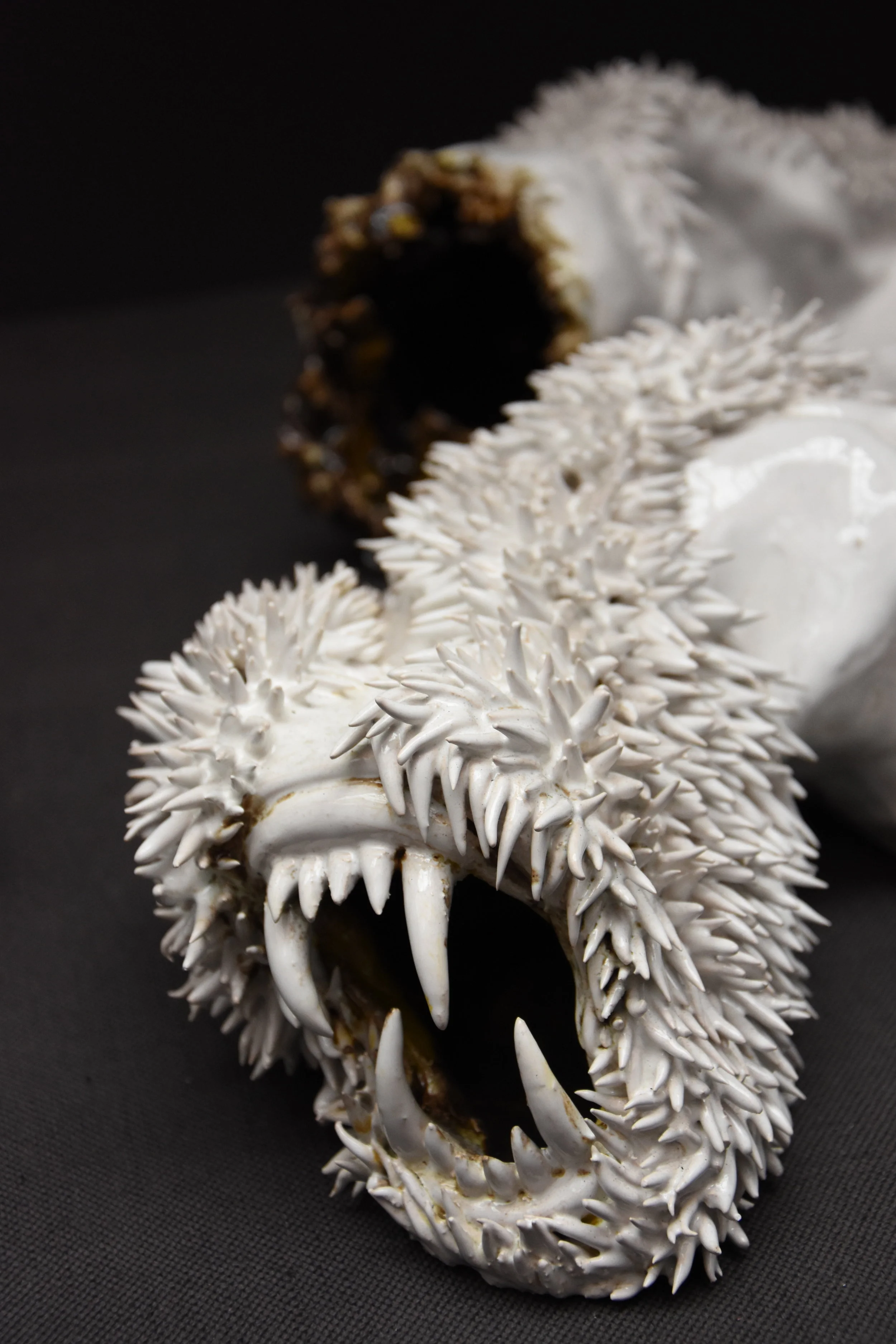  "...n'aura pas lieu."© Adriano Antunes 