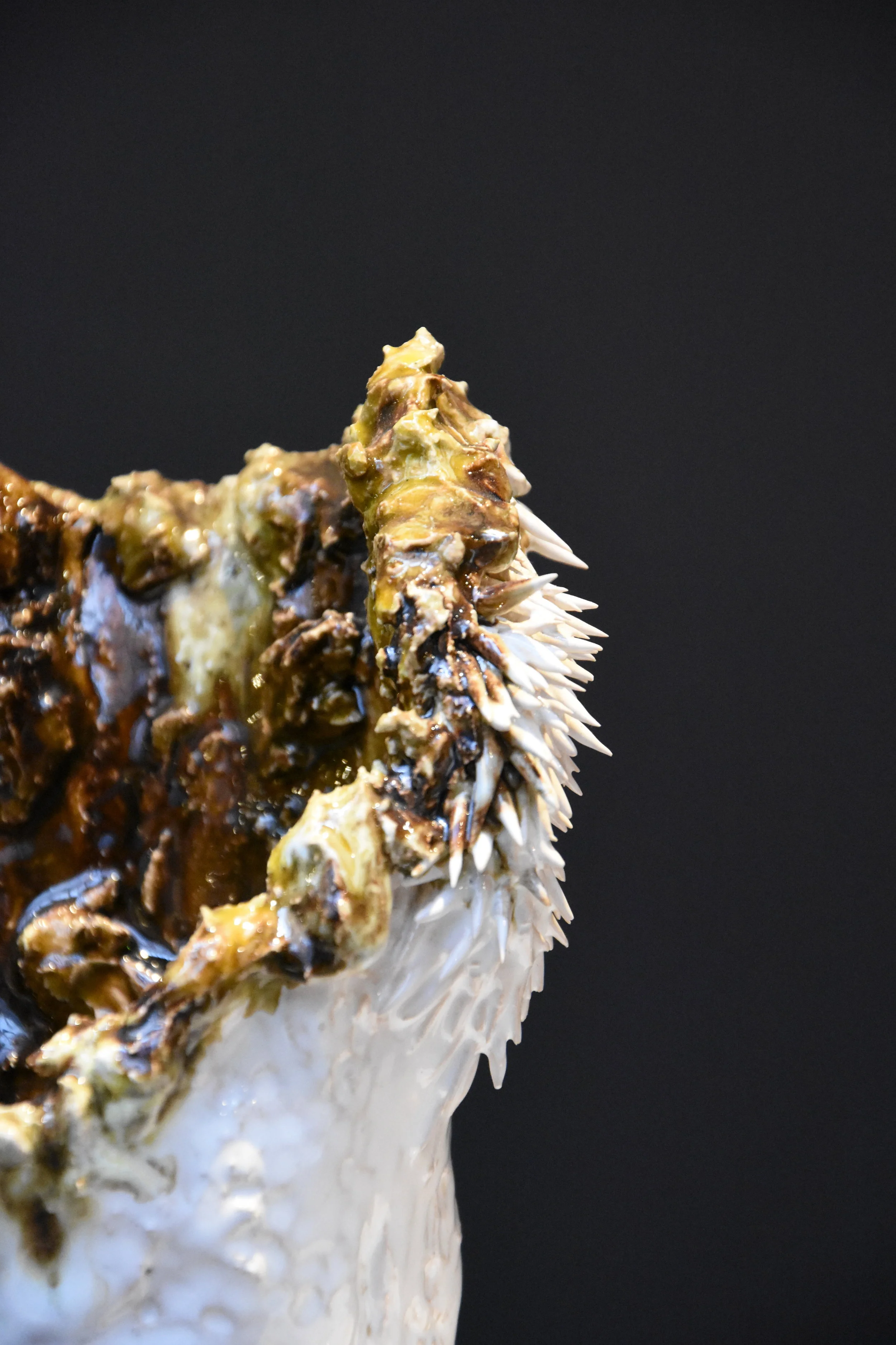  "...n'aura pas lieu."© Adriano Antunes 