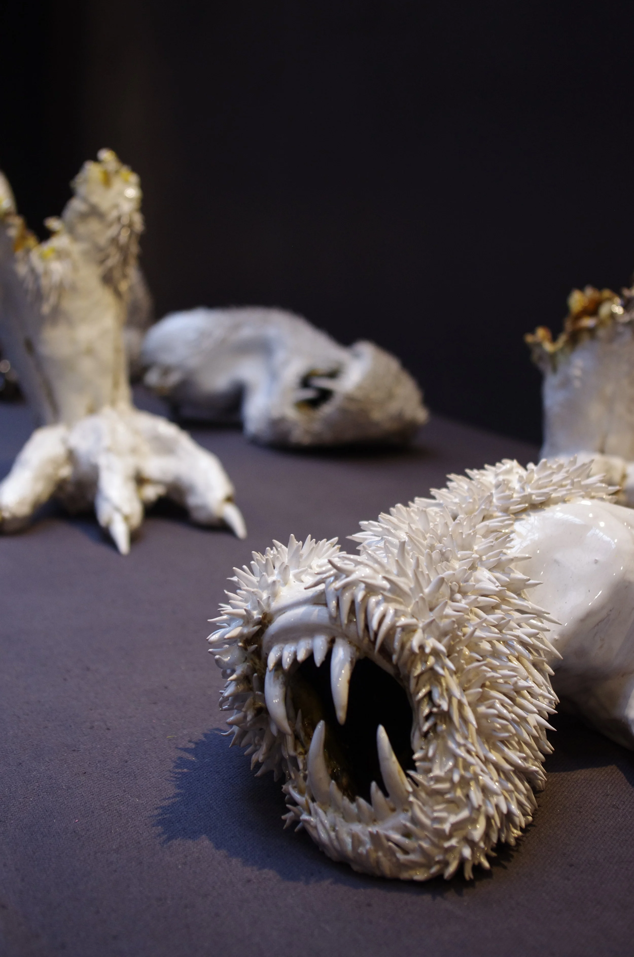  "...n'aura pas lieu."© Adriano Antunes 