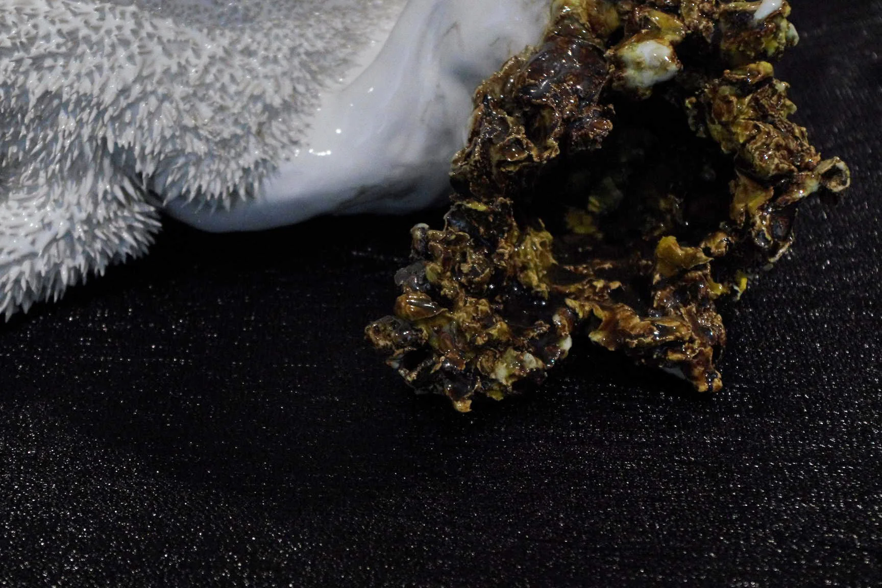  "...n'aura pas lieu." à La Piscine, ou musée d'art et d'industrie André-Diligent, Roubaix. 