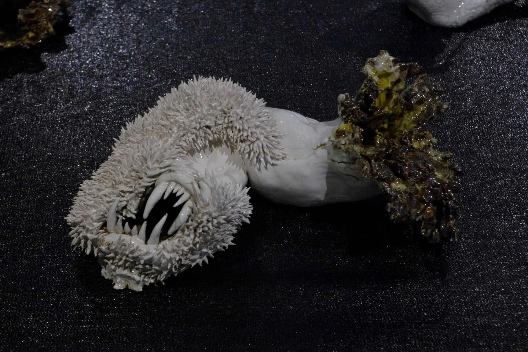  "...n'aura pas lieu." à La Piscine, ou musée d'art et d'industrie André-Diligent, Roubaix. 