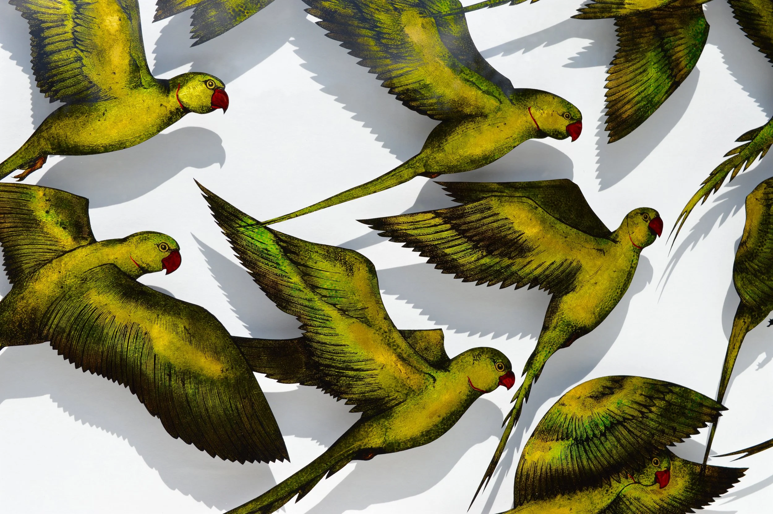 Close-up of parakeets in flight in a Verre-églomisé artwork