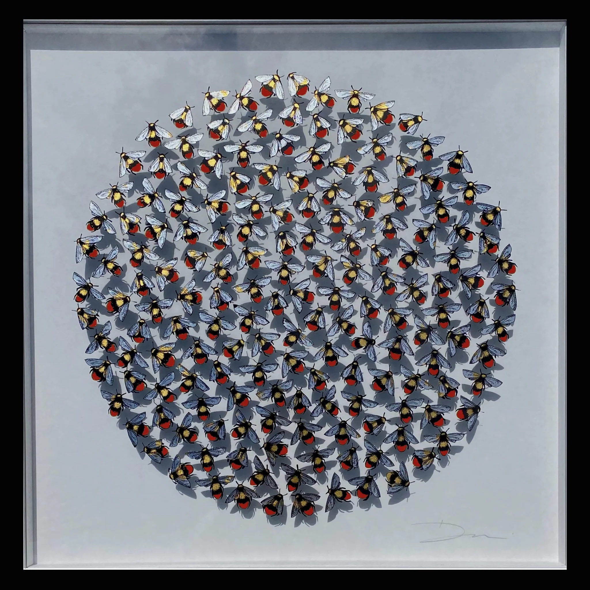 IMG_4508.jpeg