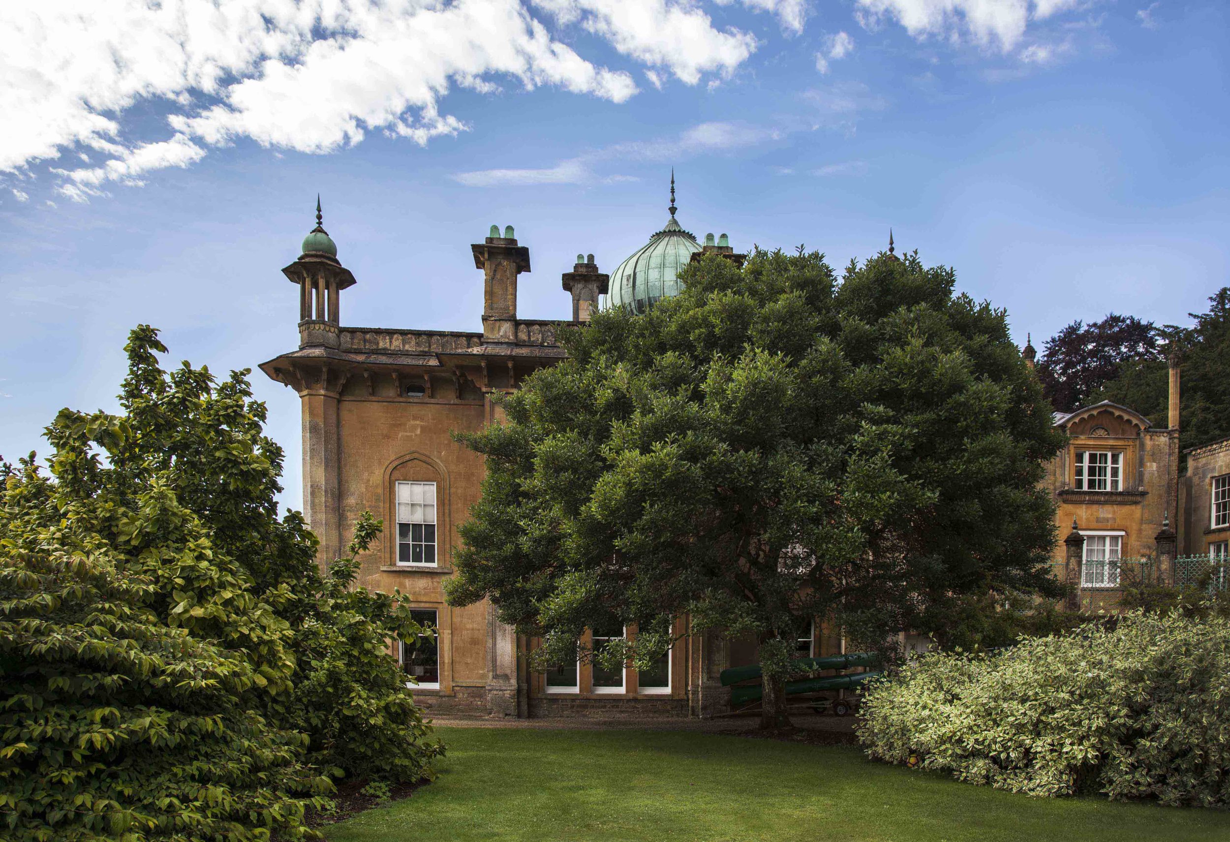 XPINXMG_0159 copy.jpg