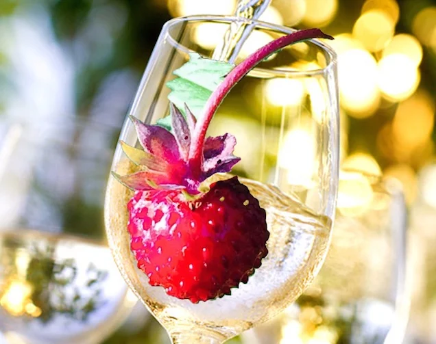 Kvasi-vinfilosofi-poesi