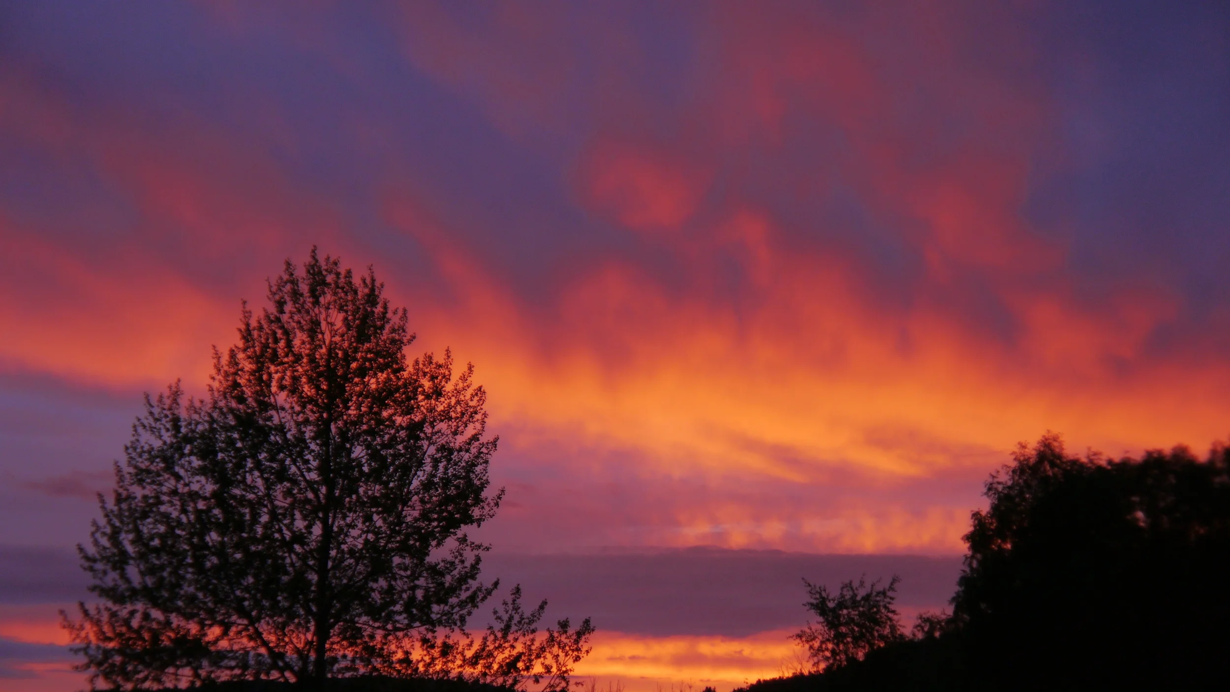 Kvasifilosofisk sommerråd