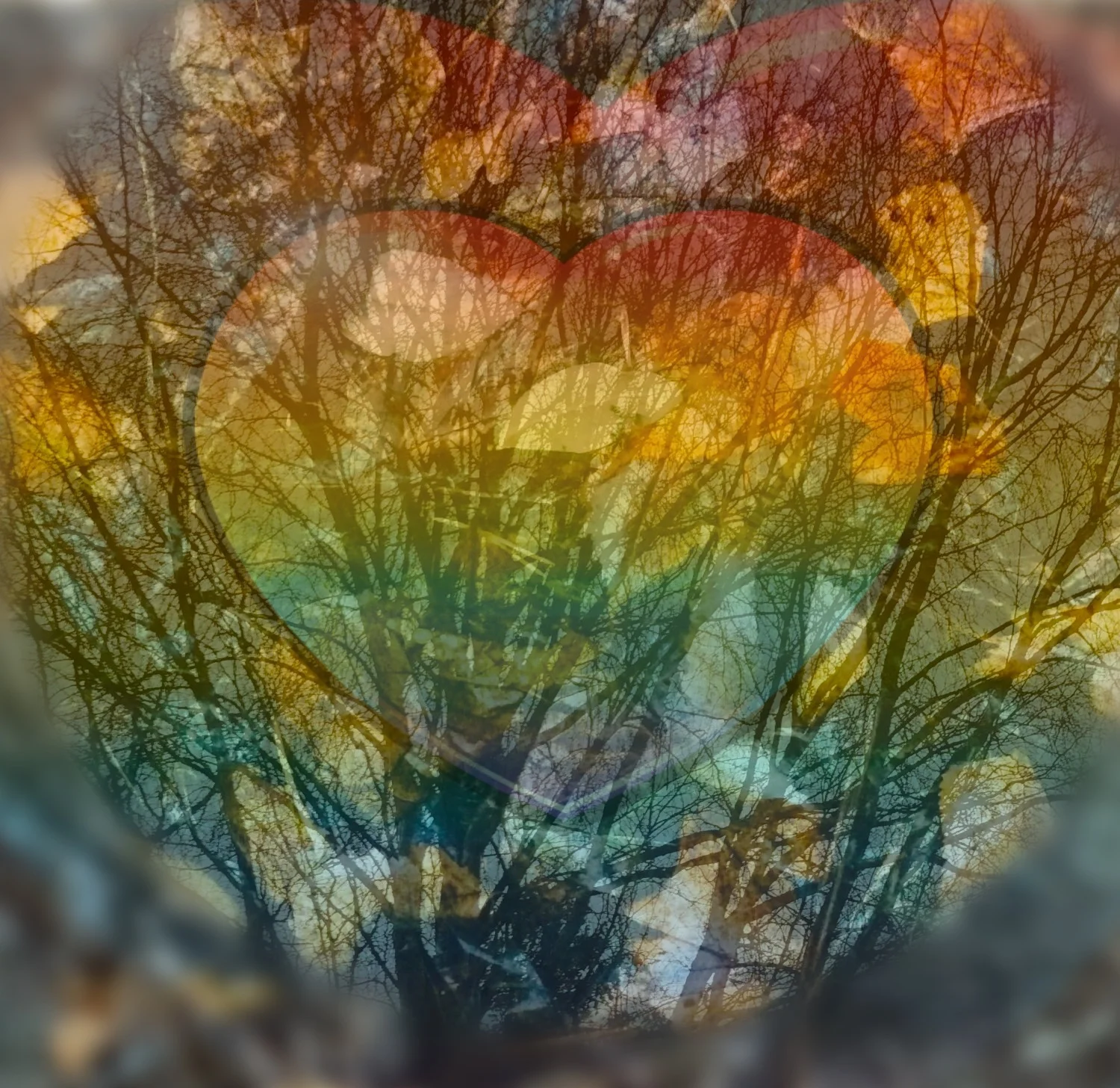 Novemberdikt med kvasifilmatisk vri