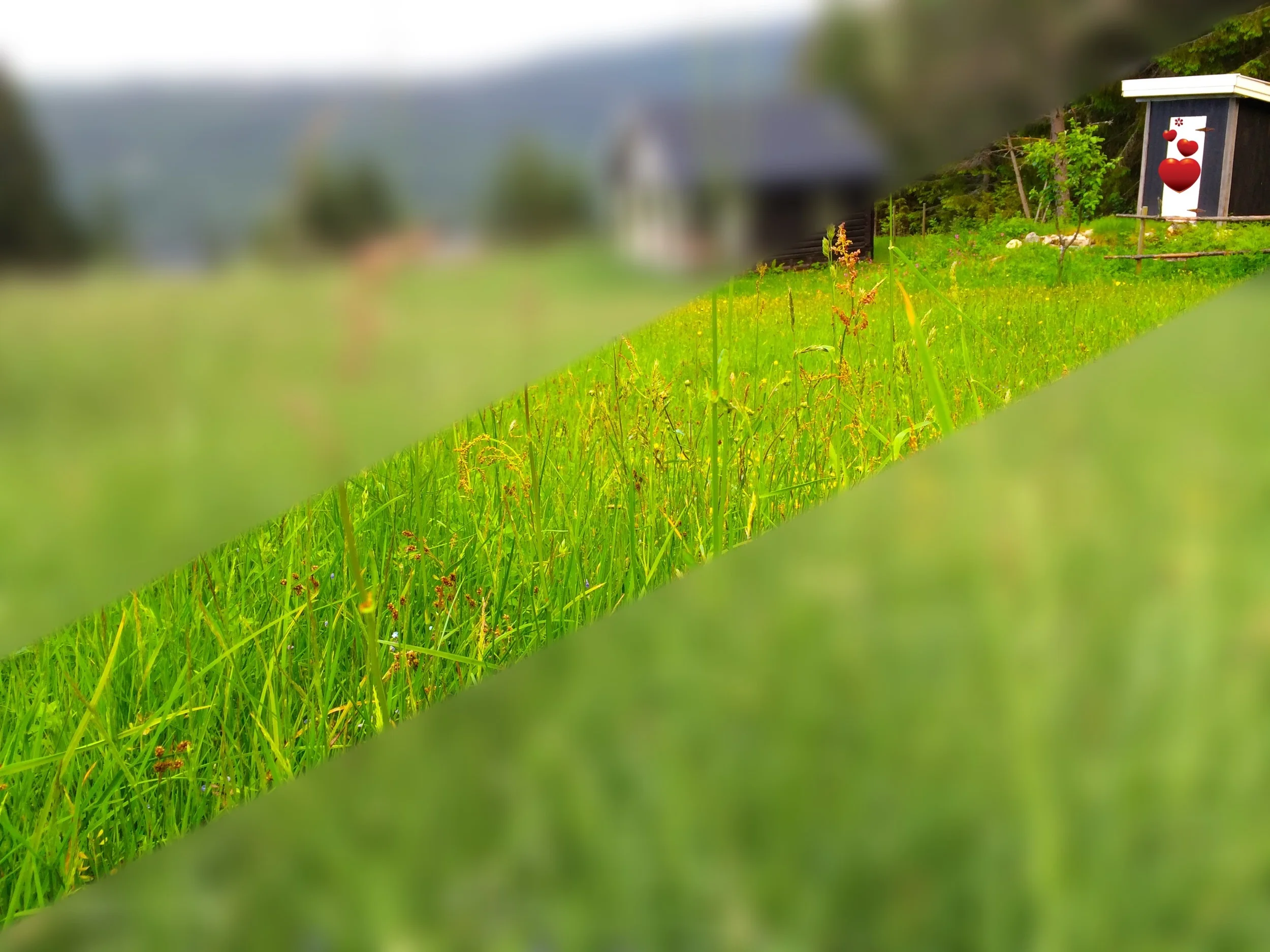 Dodikt med tre æsj-vers