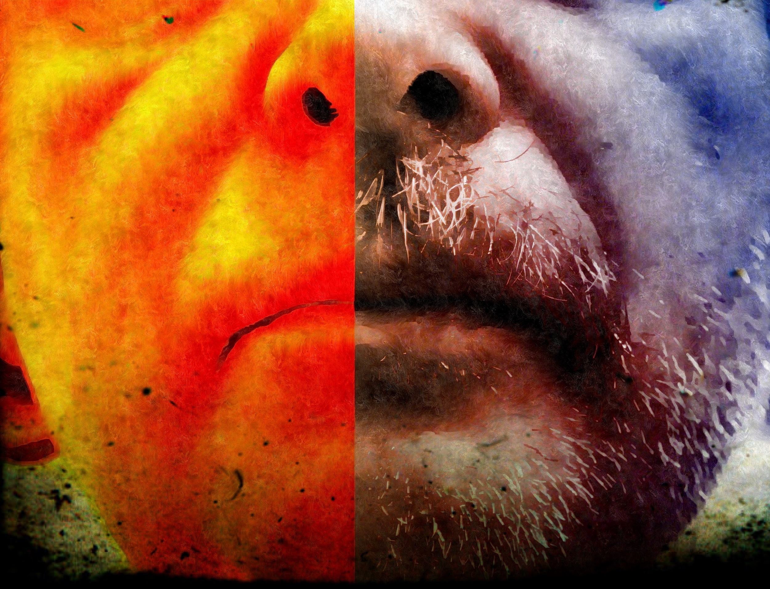 Lett krydret adventsdikt