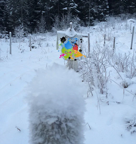 Tips til vinterdeprimerte fugleskremsler