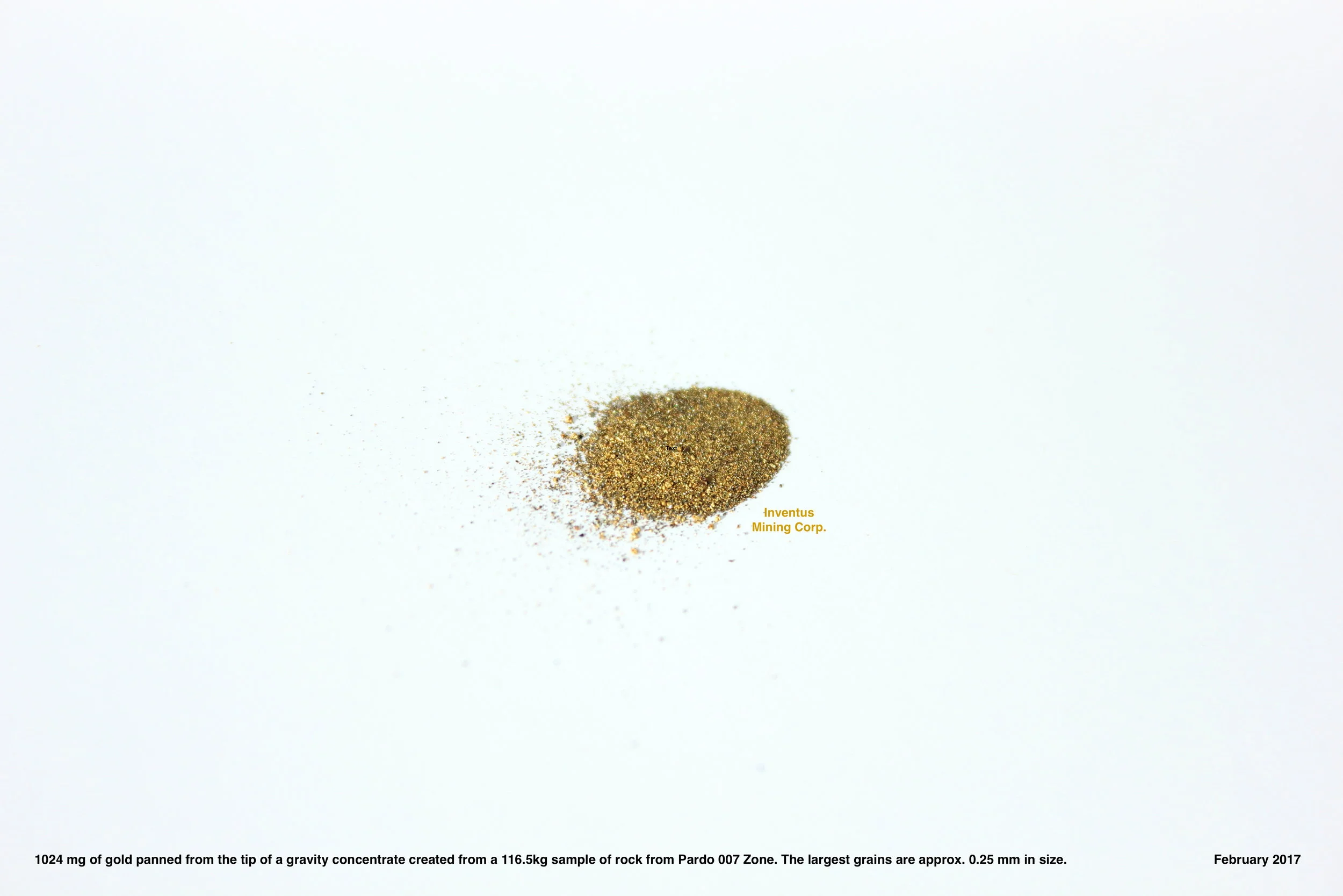 Gold grains from this sample are quite small, but it was still possible to pan some of them out of the concentrates. We're evaluating producing a gravity concentrate as the first step in processing larger bulk samples. Hope to provide an update on this soon.