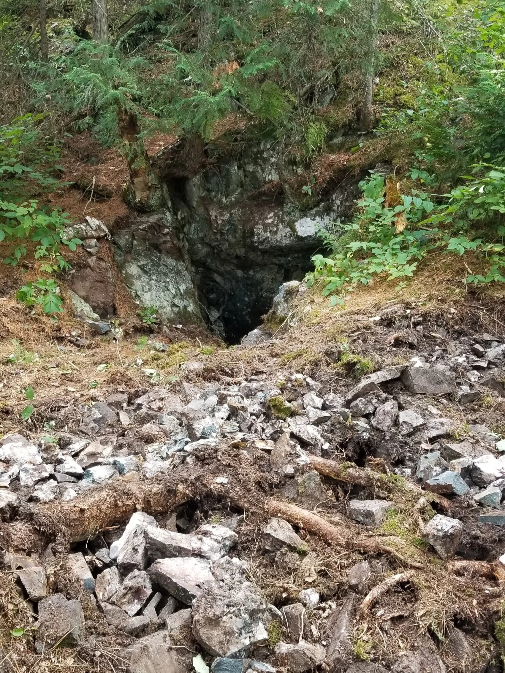 Historic shaft (likely early 1900’s) driven into the quartz diorite dyke. Slabs of inclusion bearing quartz diorite (IQD) in the foreground.