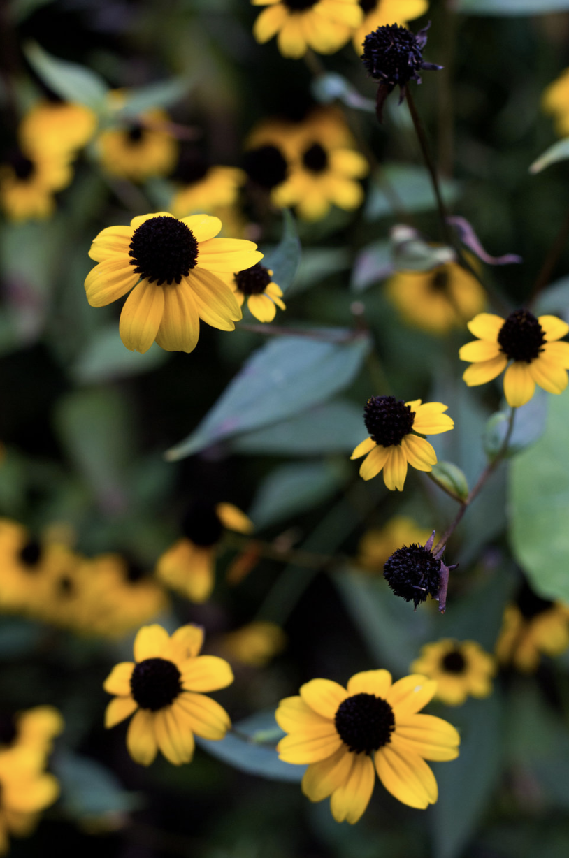 EXPLORING BEACON, NY