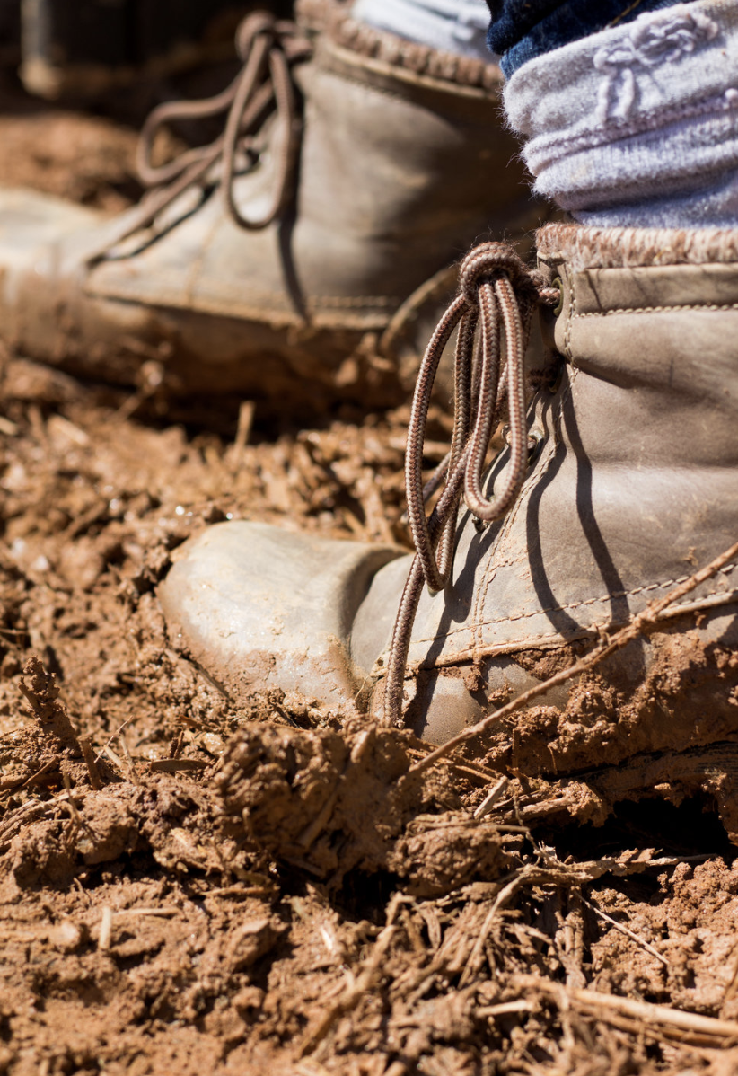ALTERNATIVE SPRING BREAK: HABITAT BUILD IN ASHEVILLE