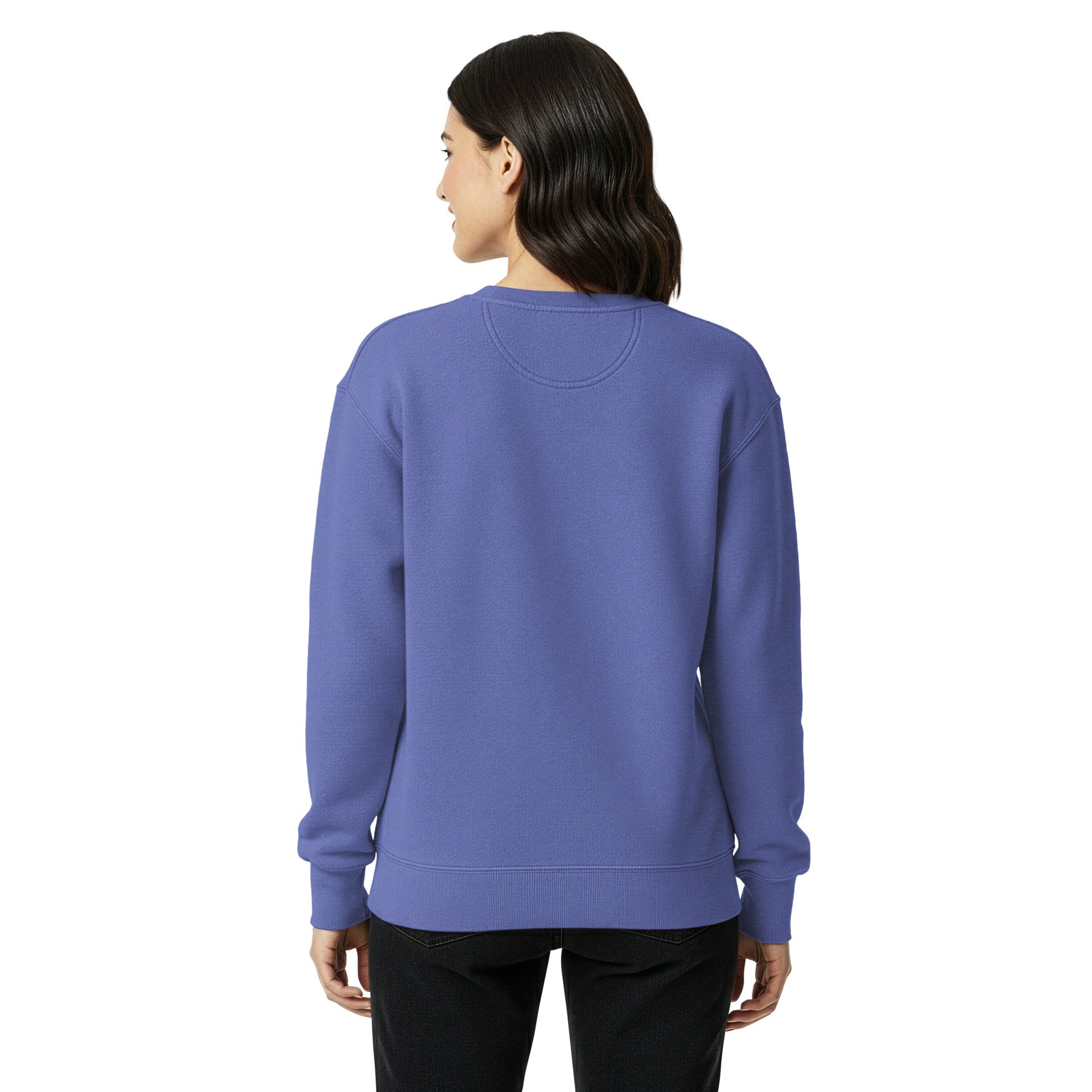 unisex-garment-dyed-sweatshirt-flo-blue-back-6940ab22e7552.jpg