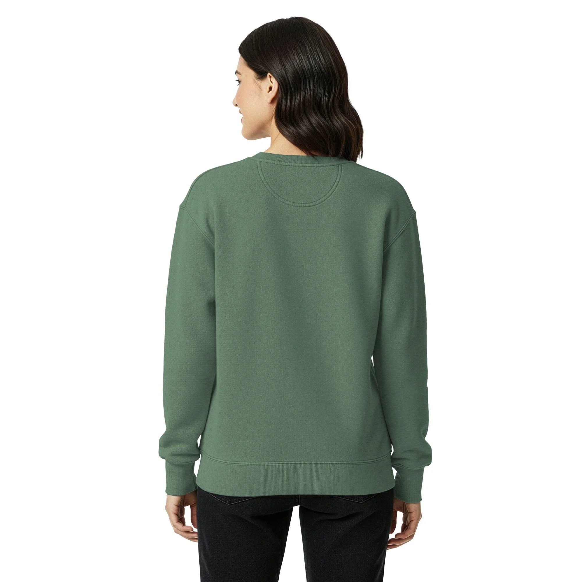 unisex-garment-dyed-sweatshirt-light-green-back-6940ab22e85c8.jpg
