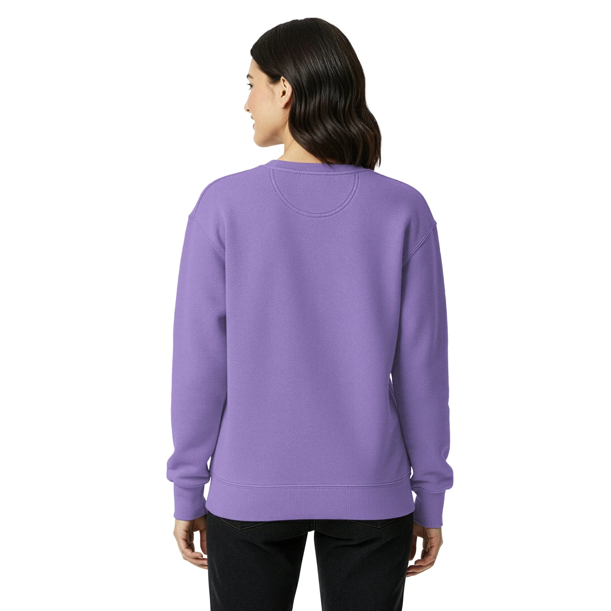 unisex-garment-dyed-sweatshirt-violet-back-6940ab22eb3ee.jpg