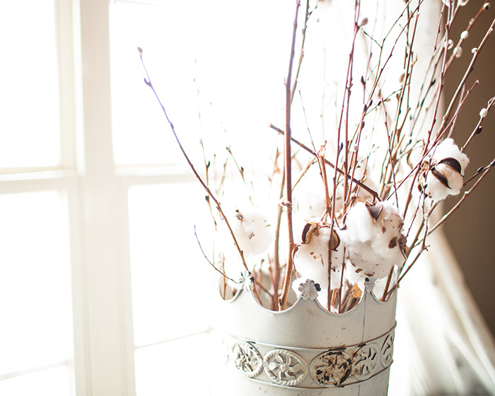 cotton plants in a tin at Rosemary Ridge Event Venue in Stillwater, Oklahoma